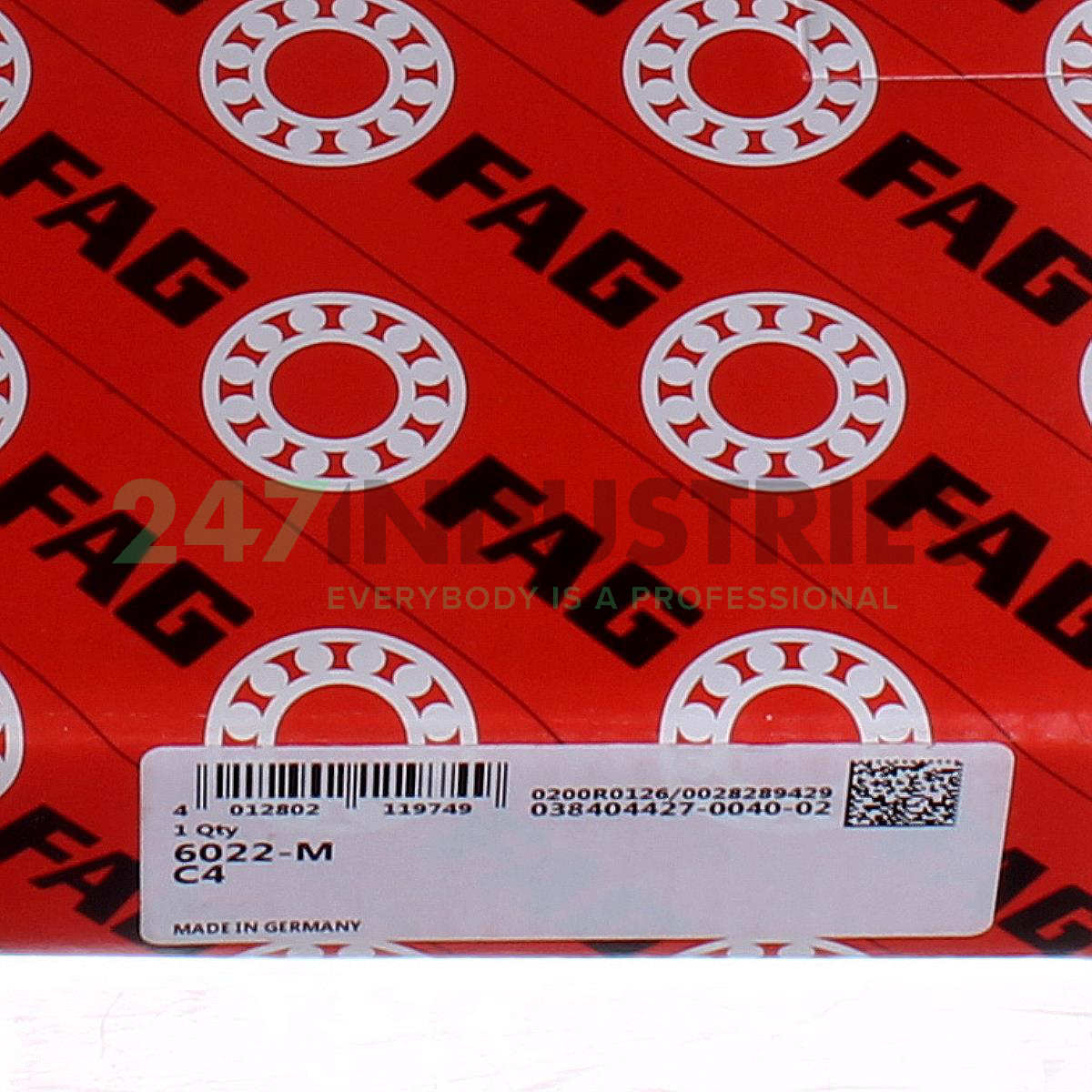 6022-M-C4 FAG Image 5