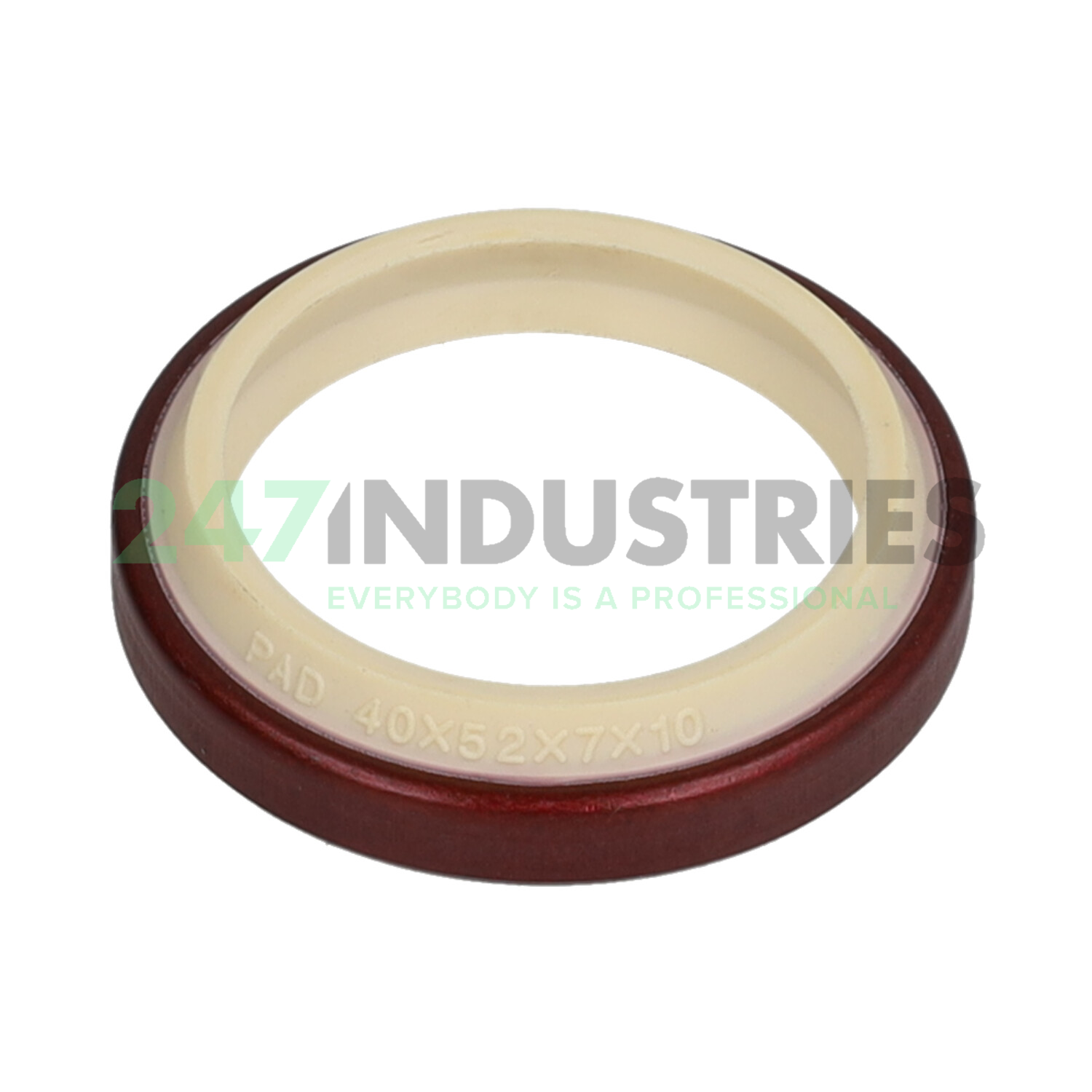 PAD40X52X7X10 SKF Image 1