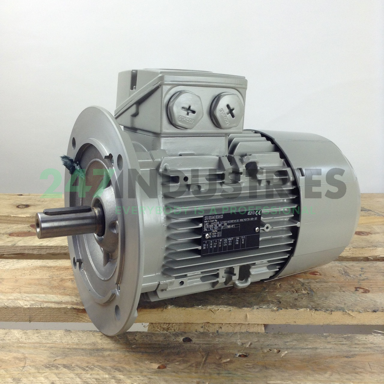 1LE1001-1AB59-0FA4 Siemens