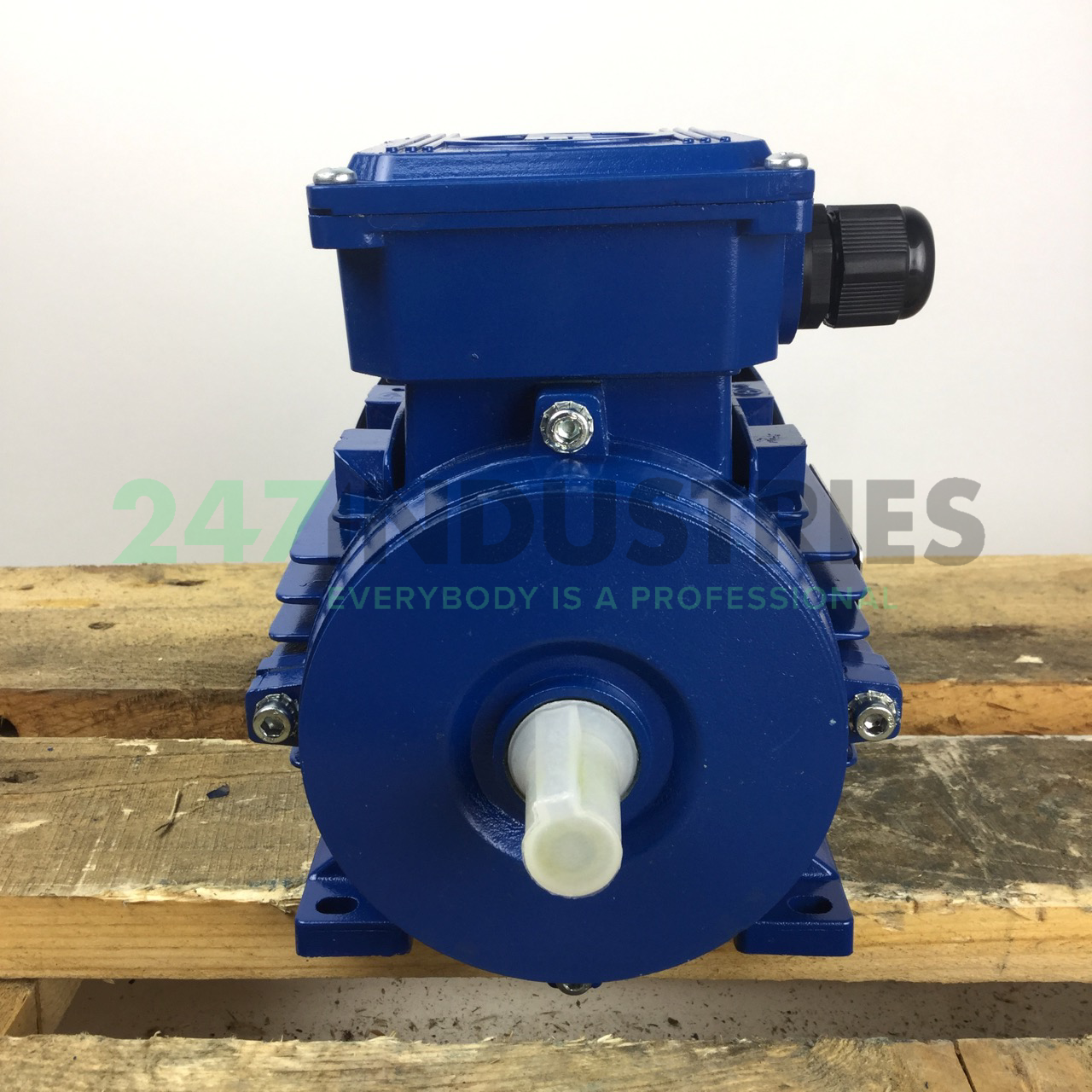 MAA0722A00017 Marelli Motori Image 4