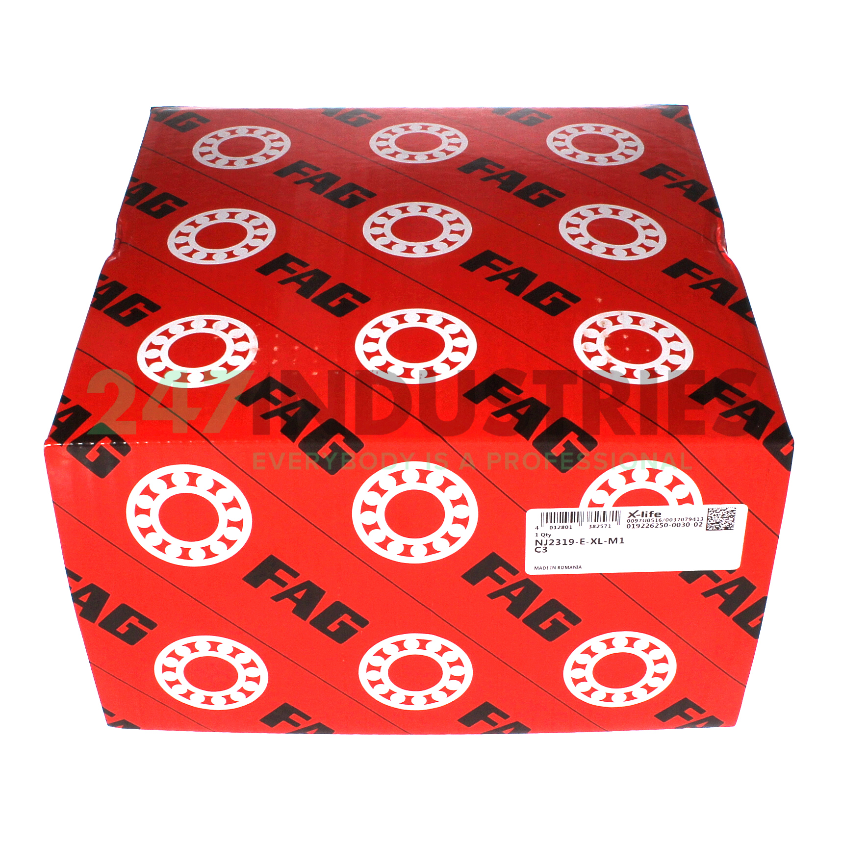 NJ2319-E-XL-M1-C3 FAG Image 4