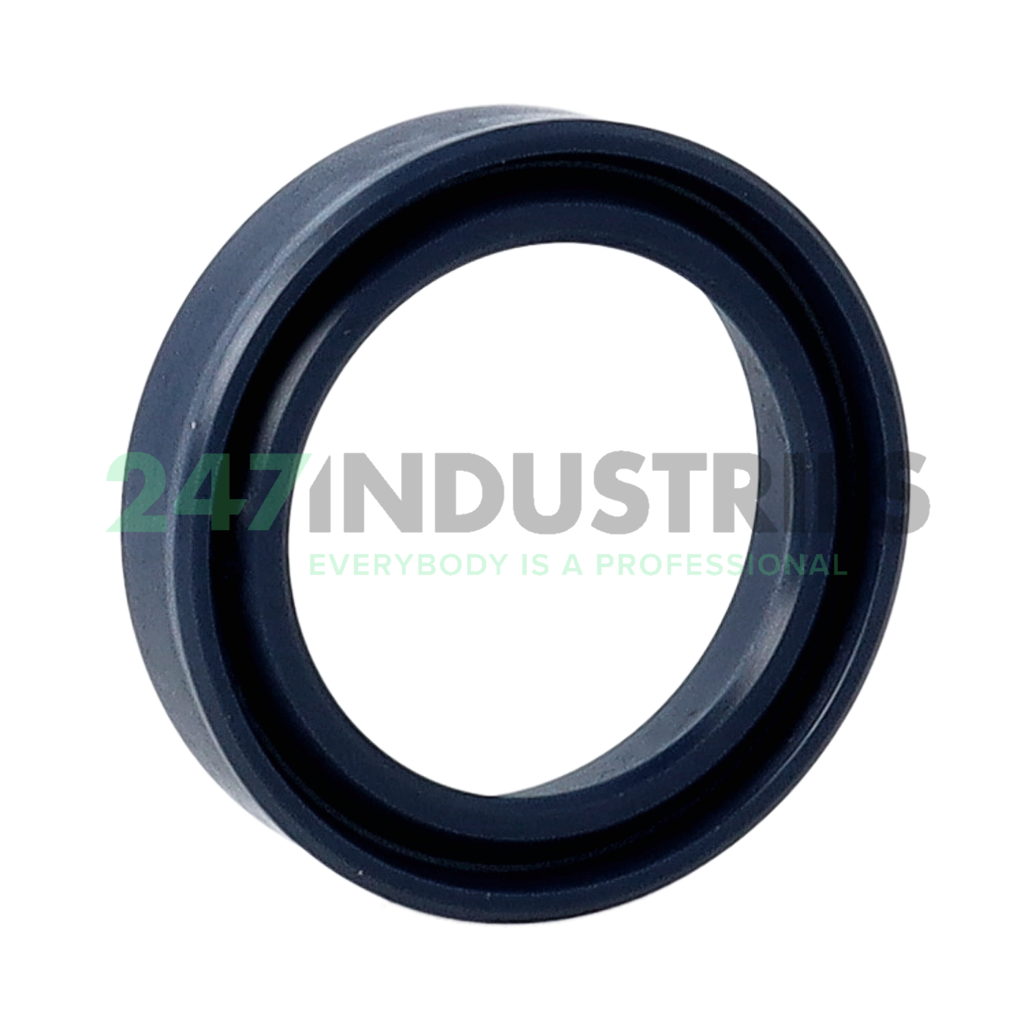 T20 28X38X8,2 Freudenberg Image 2