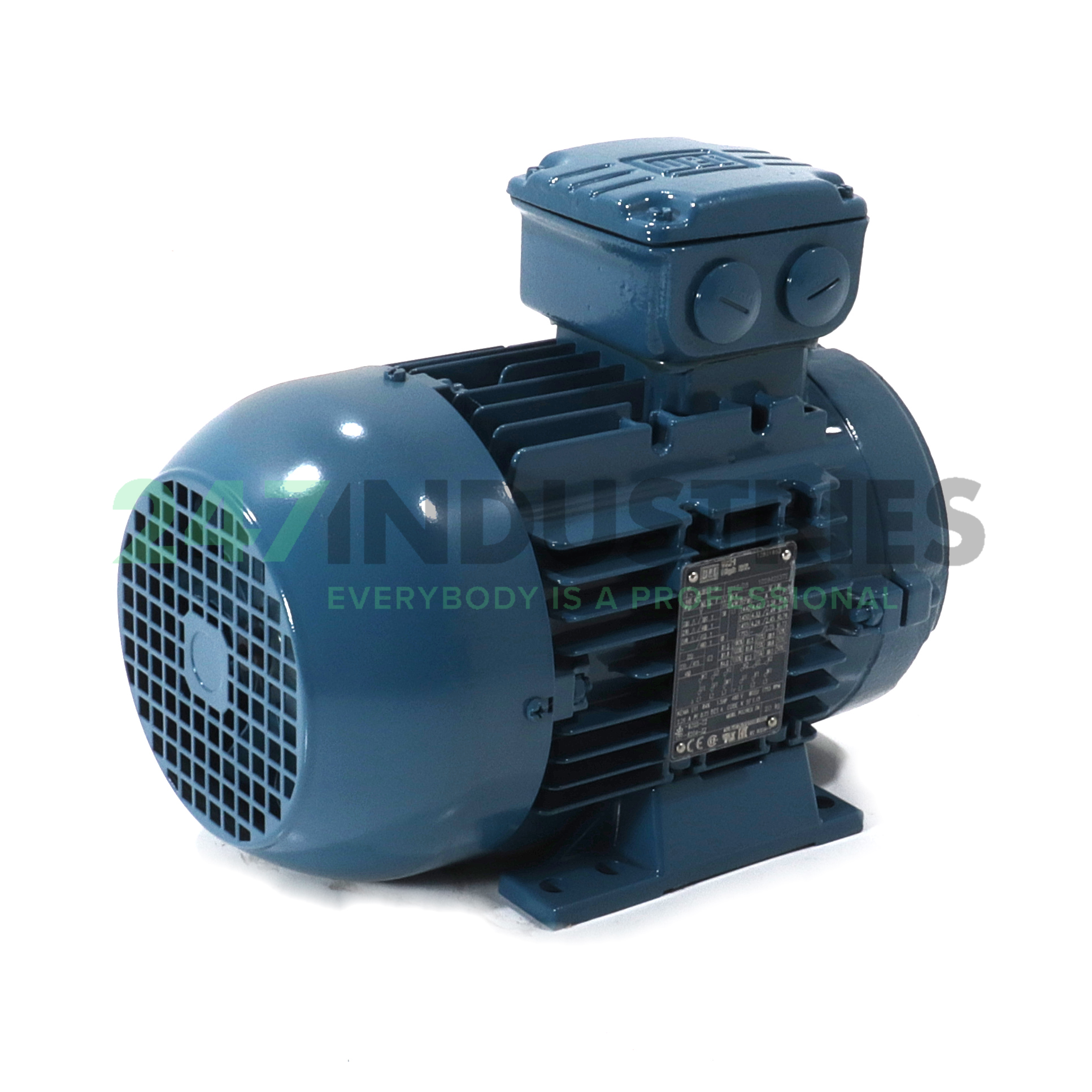 1.1K31AL290S/L4B34 WEG Image 3