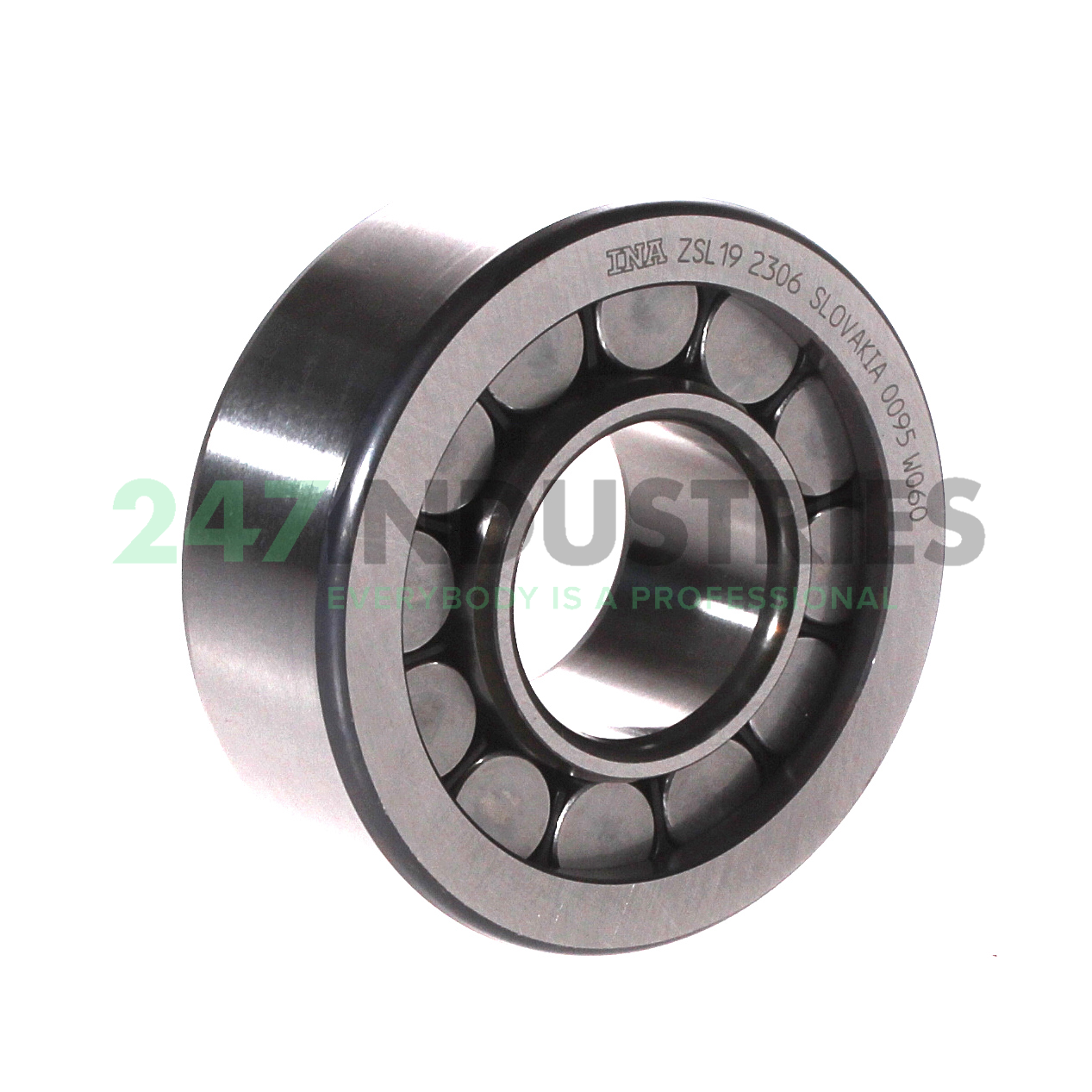 ZSL192306 INA
