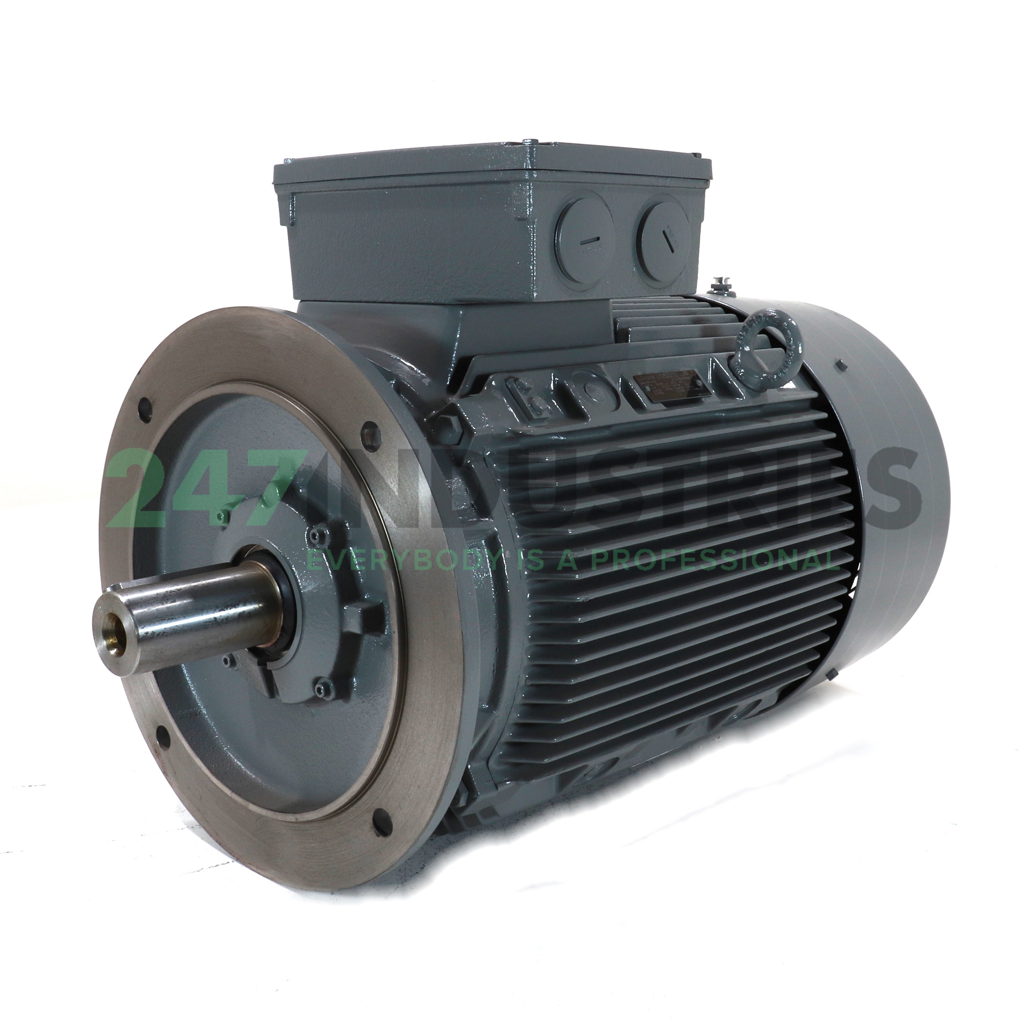 16BG207-6AA61-Z Lönne