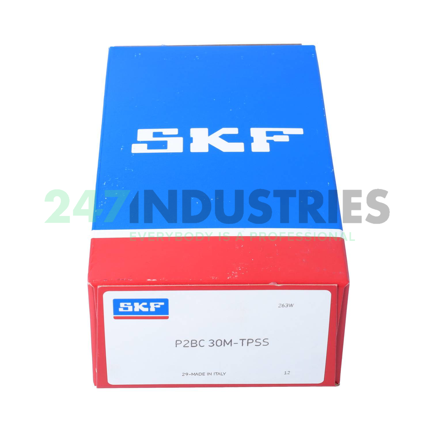 P2BC30M-TPSS SKF Image 4