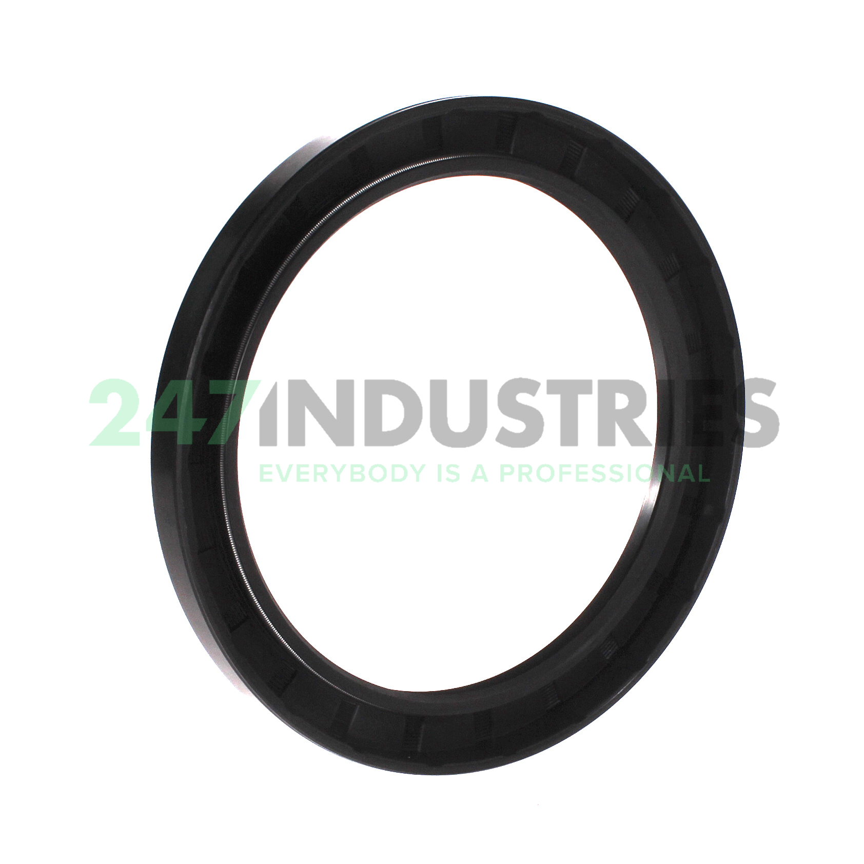 TC125X160X15 Lyon Image 2