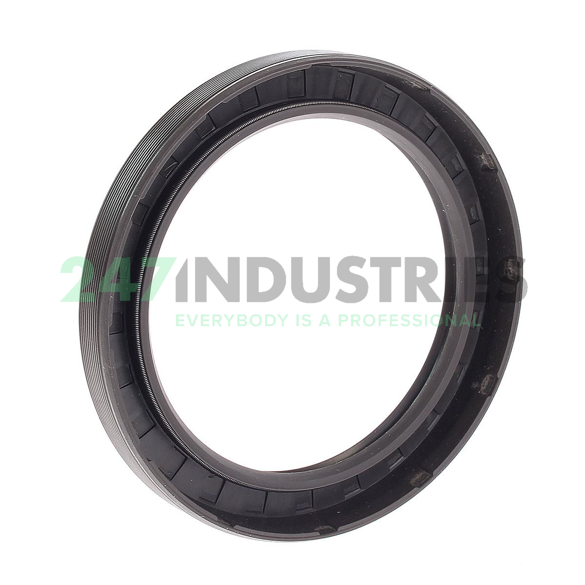CR75X100X12HMSA10V SKF Image 1