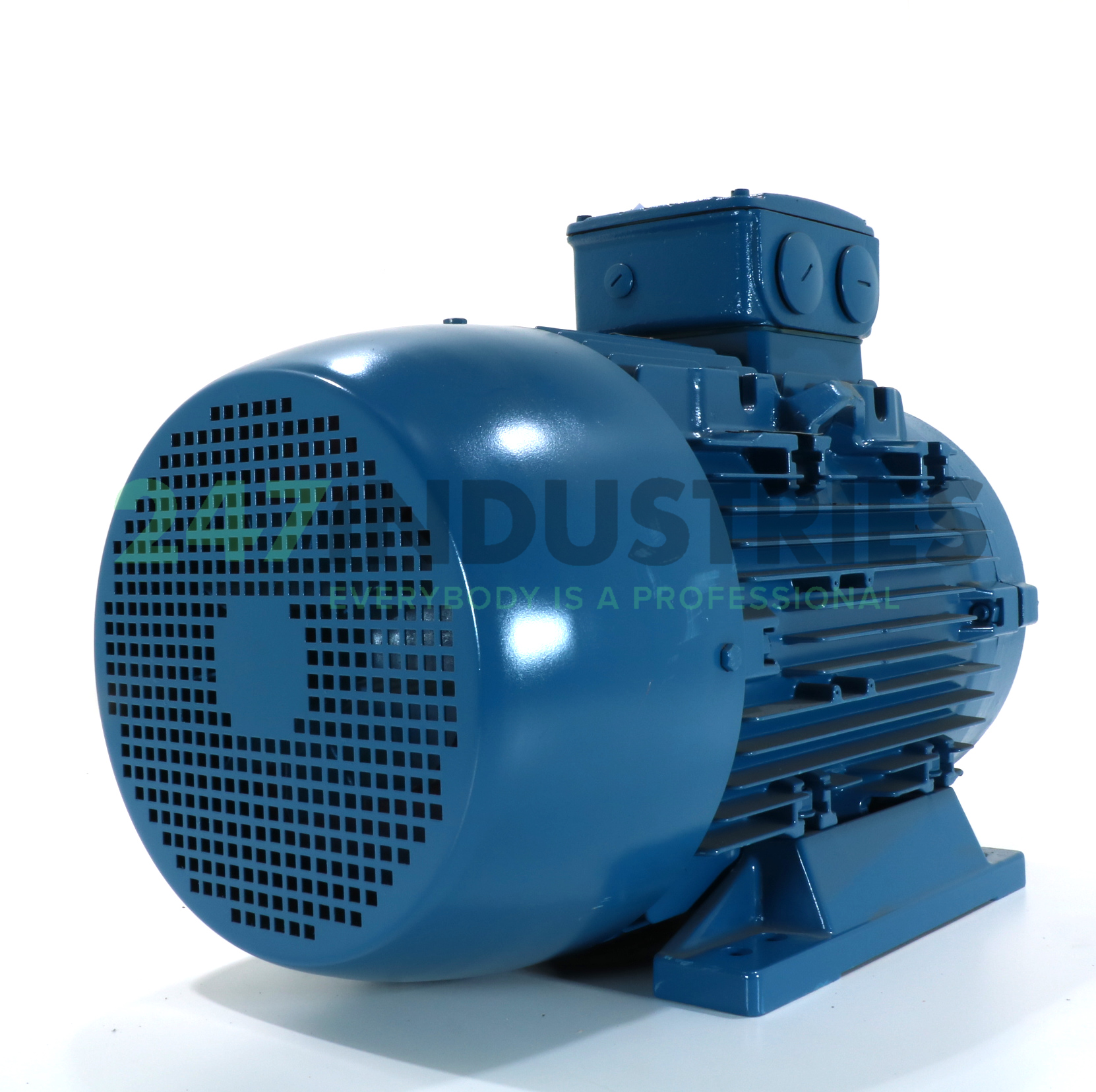 11K32AL3160M/L2B3 WEG Image 3