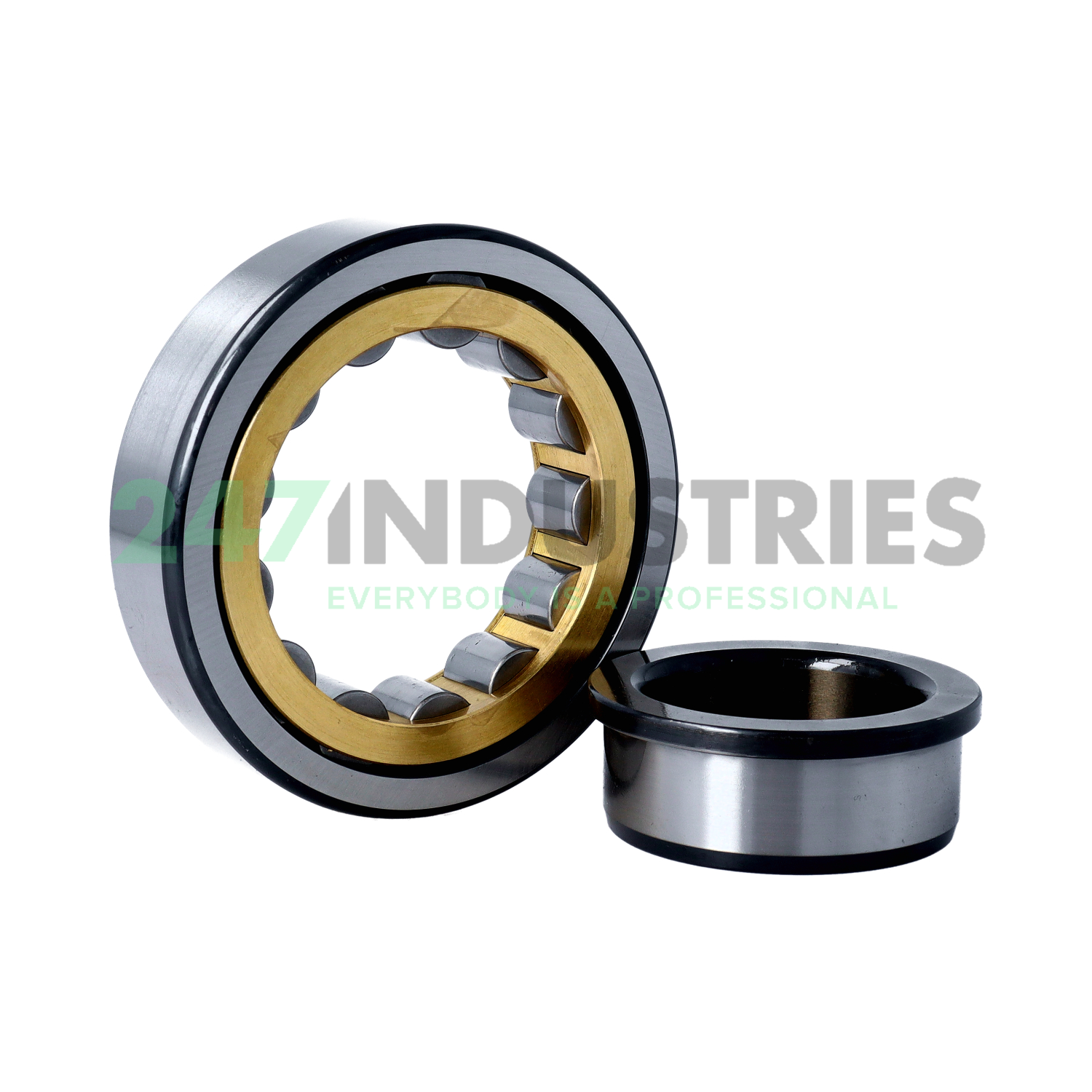 NJ310-E-M1-C3 FAG Image 2