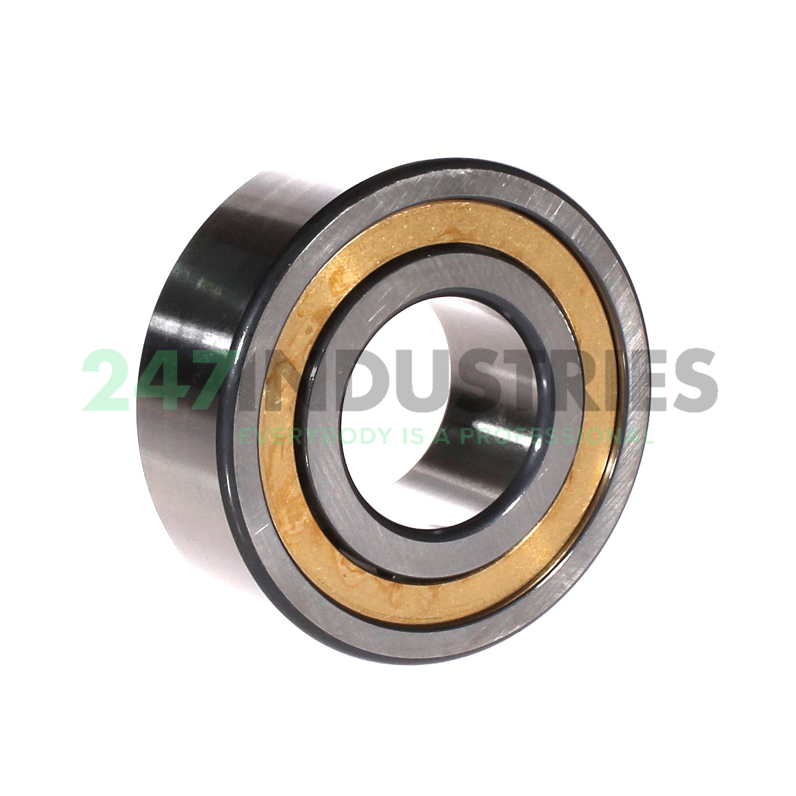 NJ2310-E-XL-M1A-QP51-C4 FAG Image 3