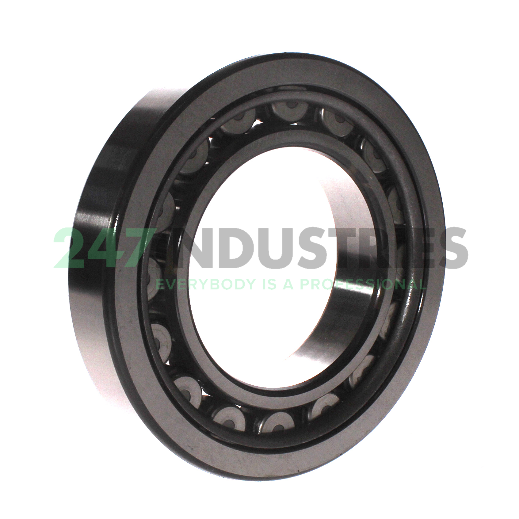 NU220W C3 NSK Image 2