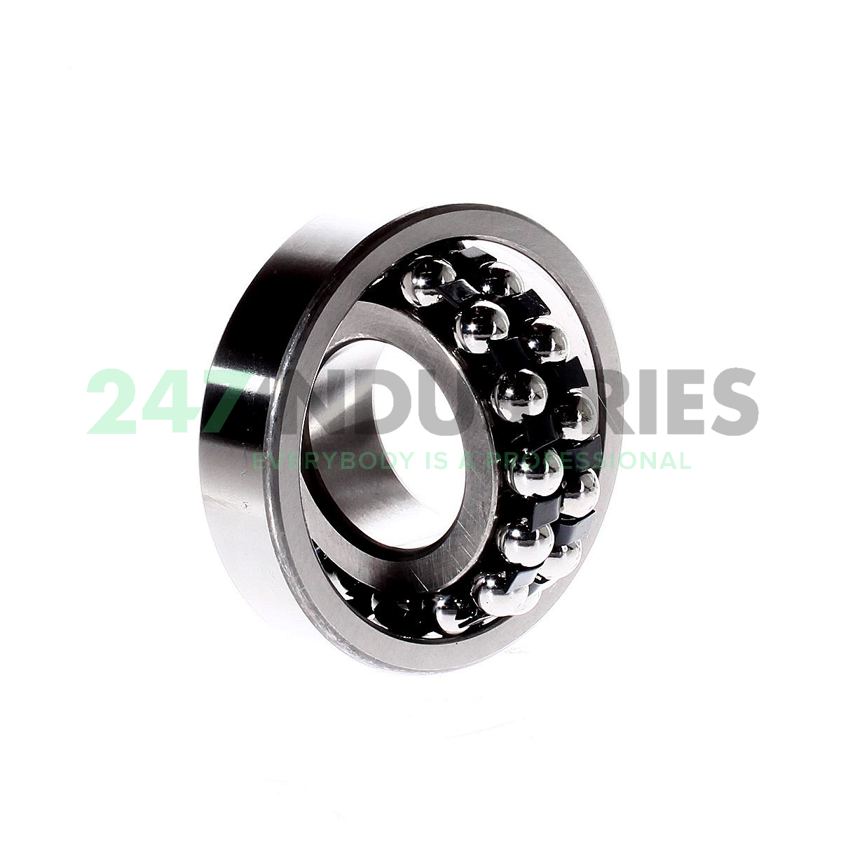 1308 NTN Image 2