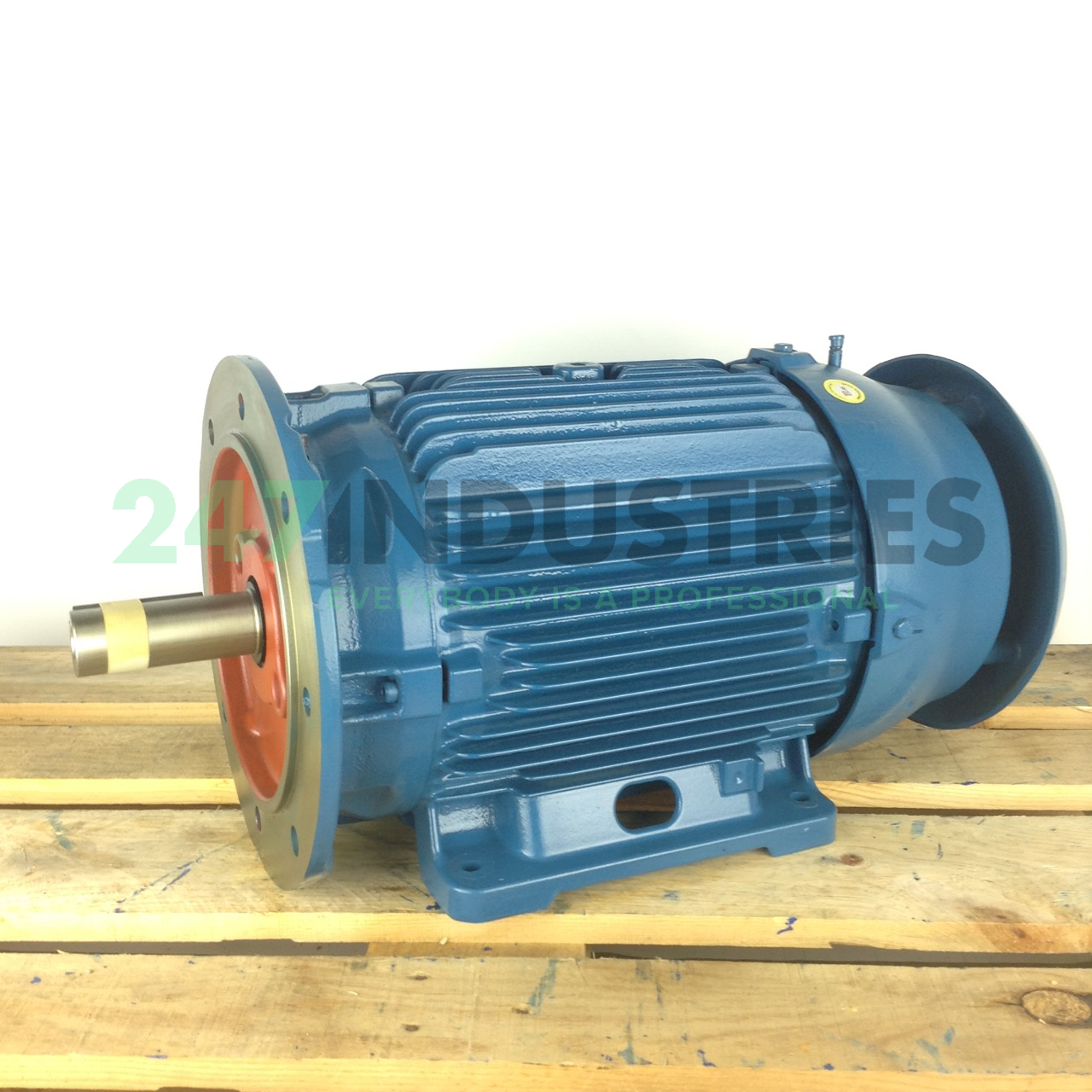 15K32CI3160L4B35 WEG