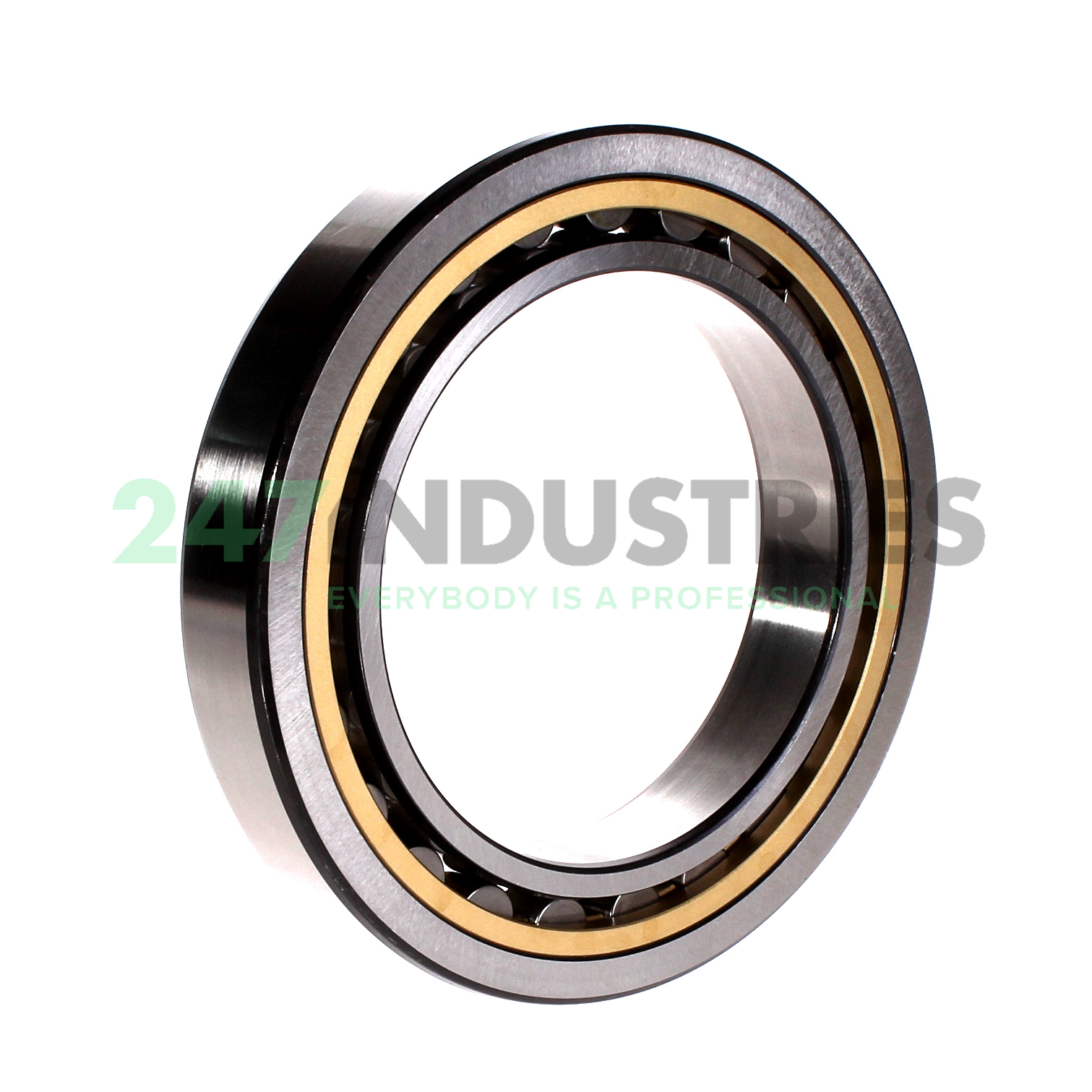 NU1020ML SKF Image 2