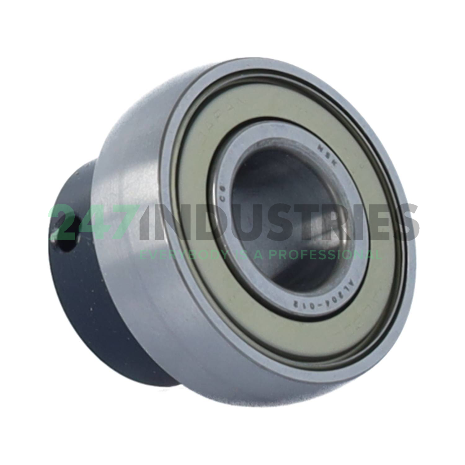 AEL204-012W3 NSK