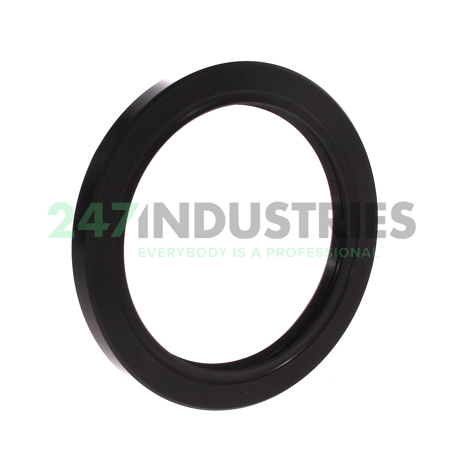 BASL100X130X13 Freudenberg