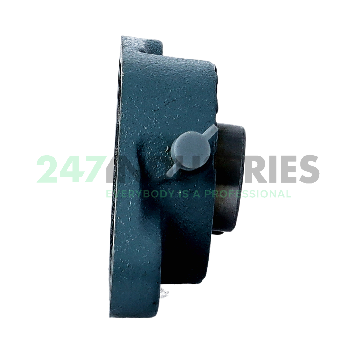 UCFL204-12 Asahi Image 2