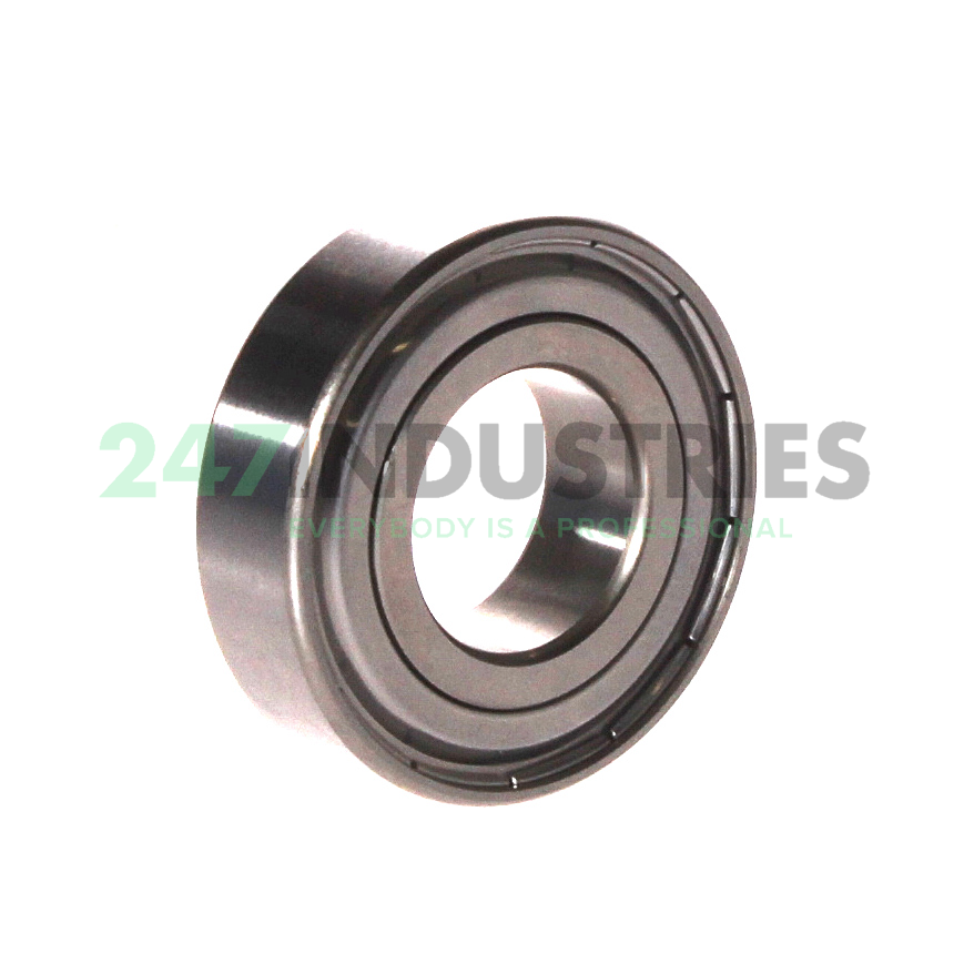 W6004-2Z SKF Image 2