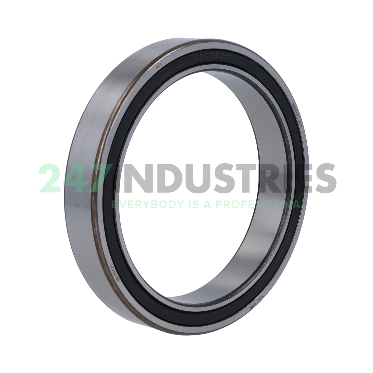 3818-2RS-C3 INA Image 1