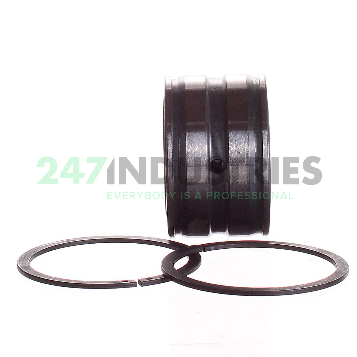 SL045005-PP-2NR INA Image 2