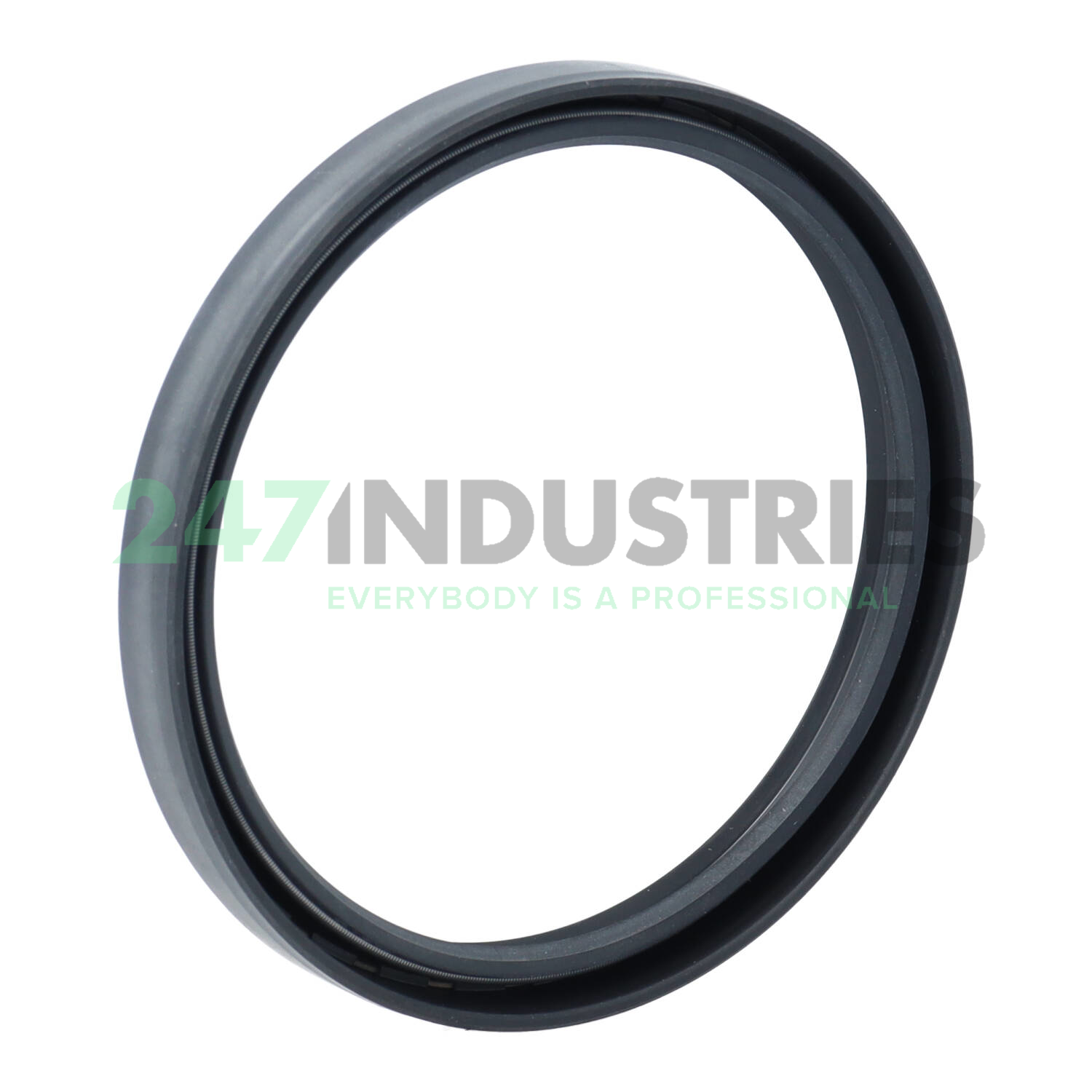 TC65X75X8 TTO Oil seals Image 2