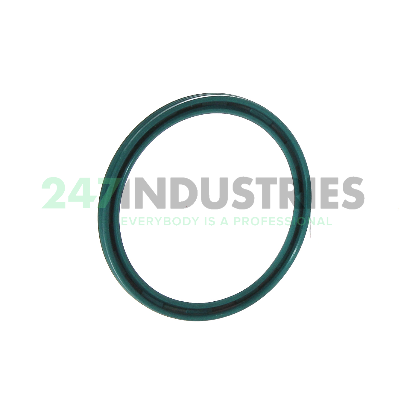 VG45X52X4 NAK Sealing Technologies Image 2