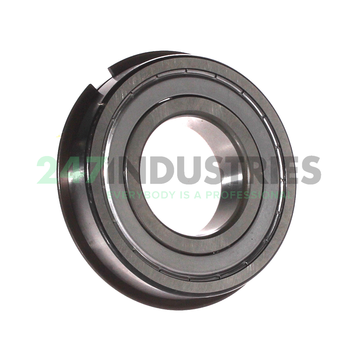 6207-ZNR SKF Image 2