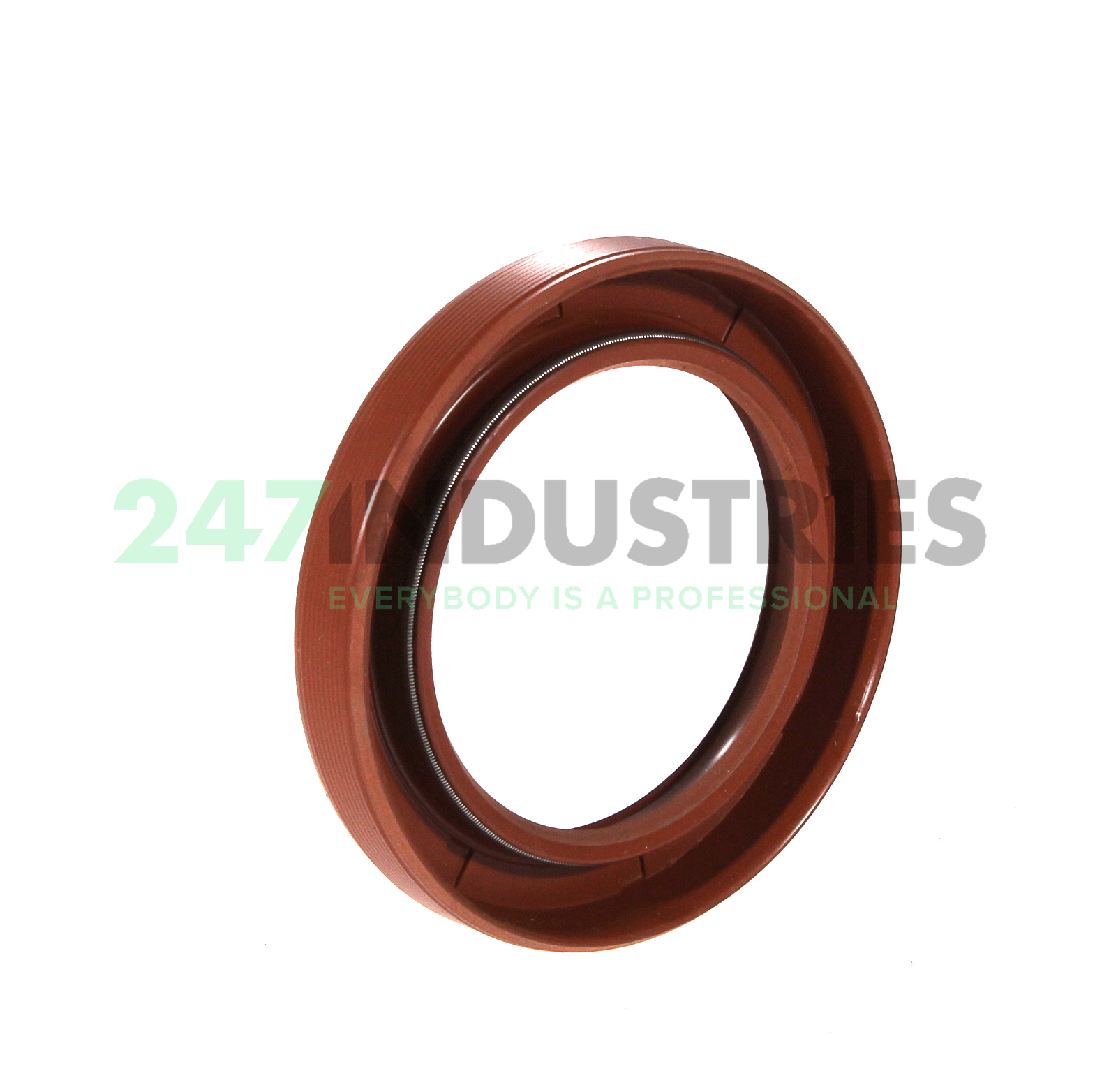 45X65X10HMS5V SKF Image 2
