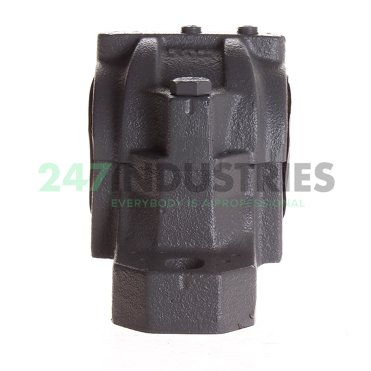 SNV080-F-L FAG Image 2