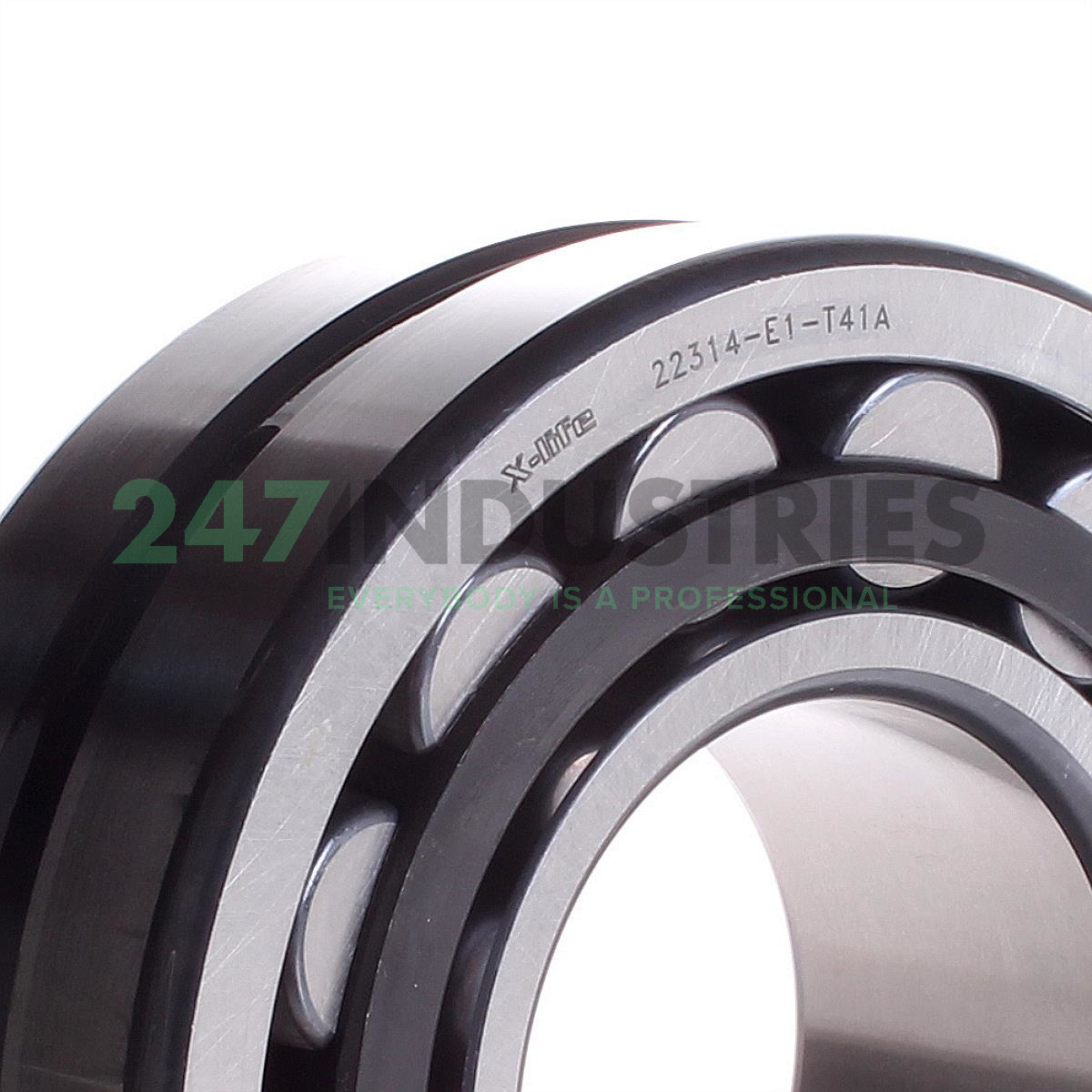 22314E1.T41A FAG Image 2