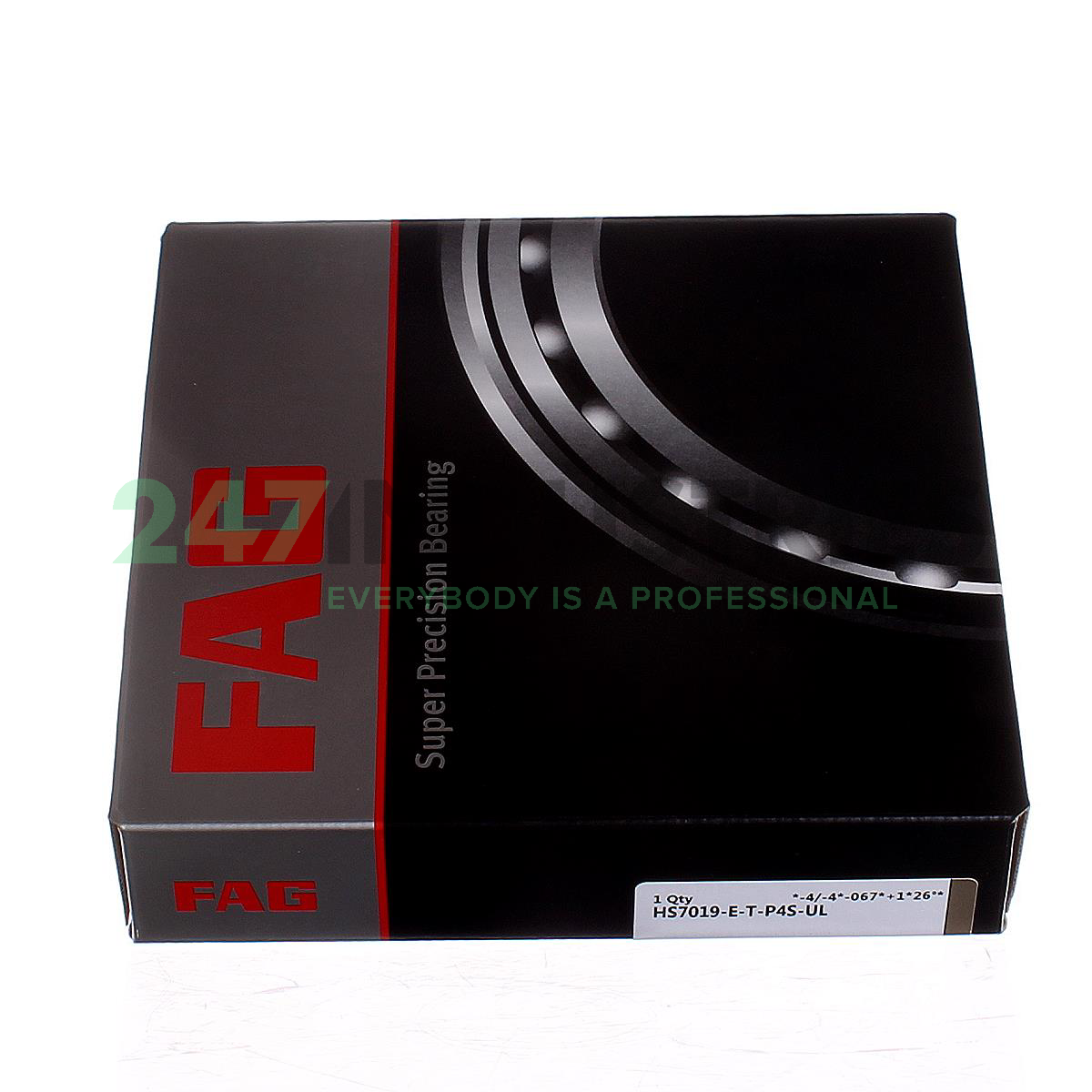 HS7019-E-T-P4S-UL FAG Image 2