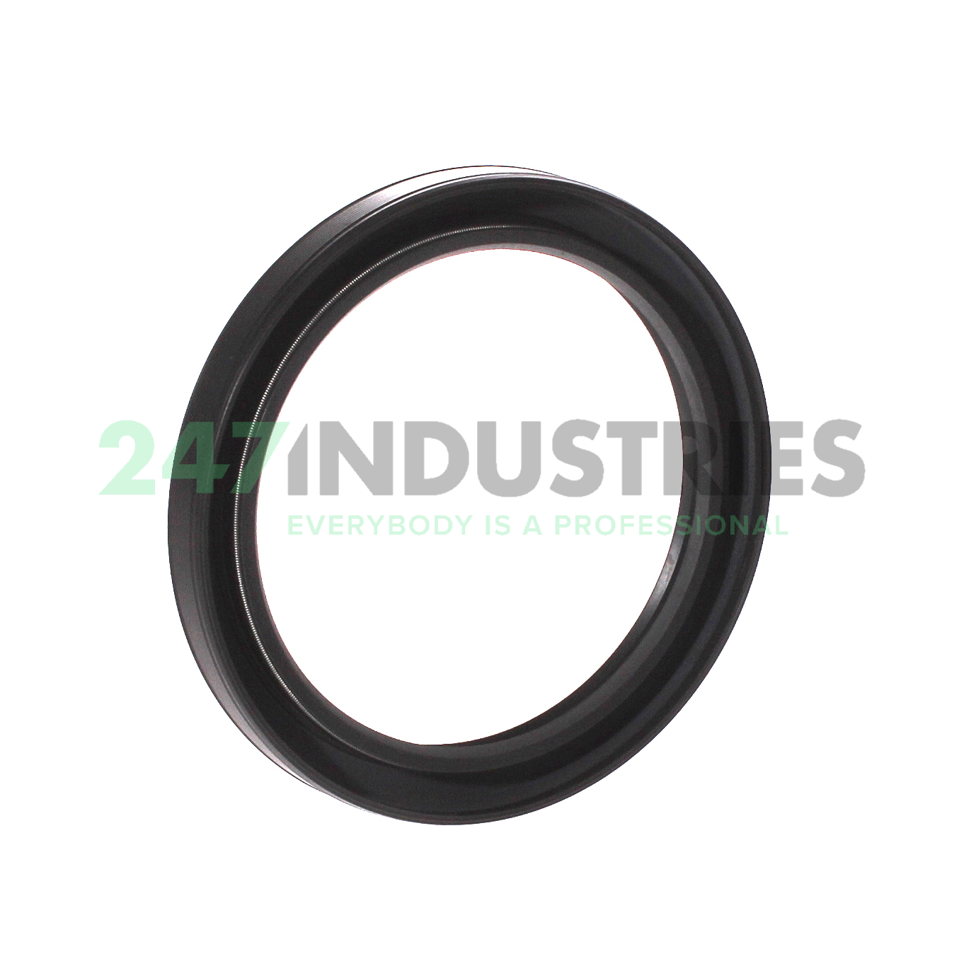 75X95X10HMSA10RG SKF Image 2