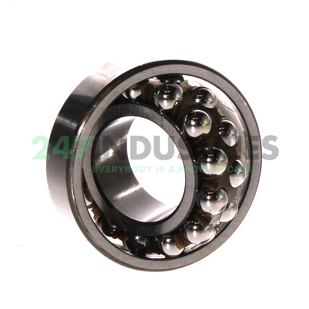 1205EKTN9/C3 SKF Image 3