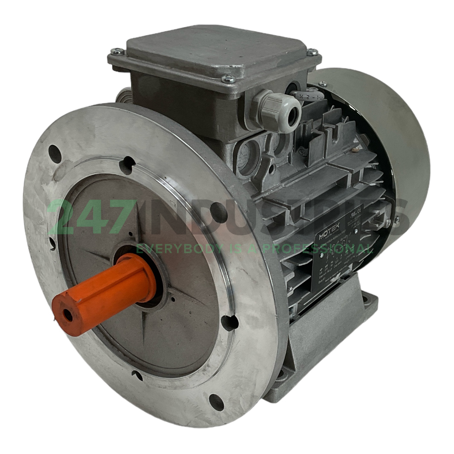EMU100LB-4-B35 Motok Electric Motors Image 1