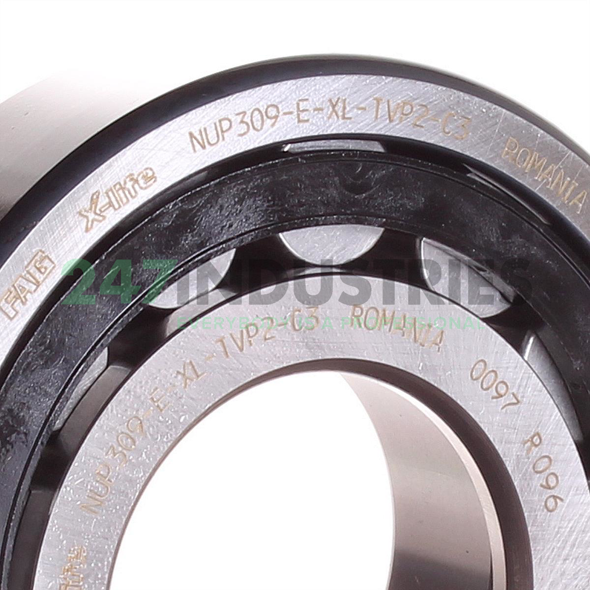 NUP309-E-XL-TVP2-C3 FAG Image 2