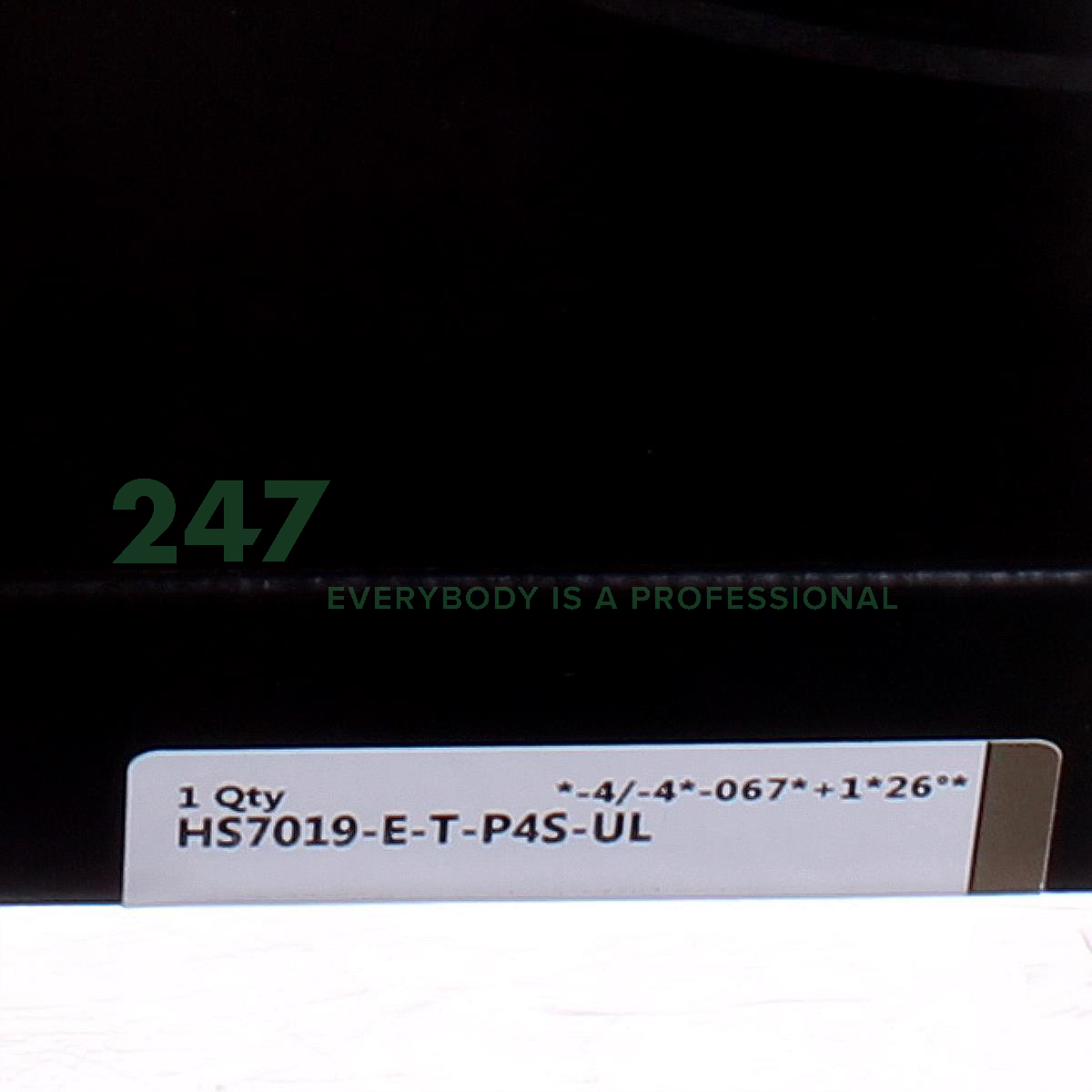 HS7019-E-T-P4S-UL FAG Image 3