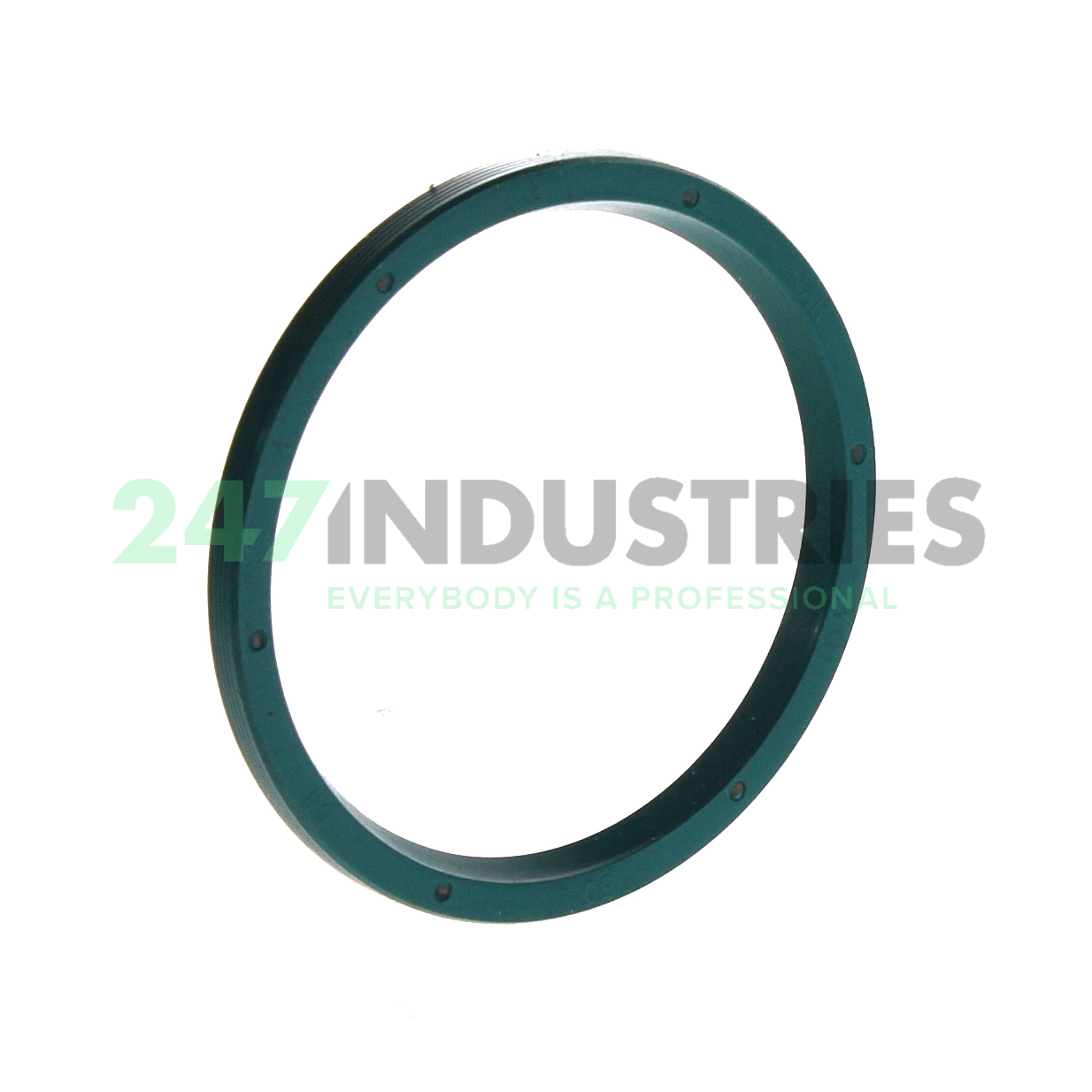 VG50X58X4 NAK Sealing Technologies