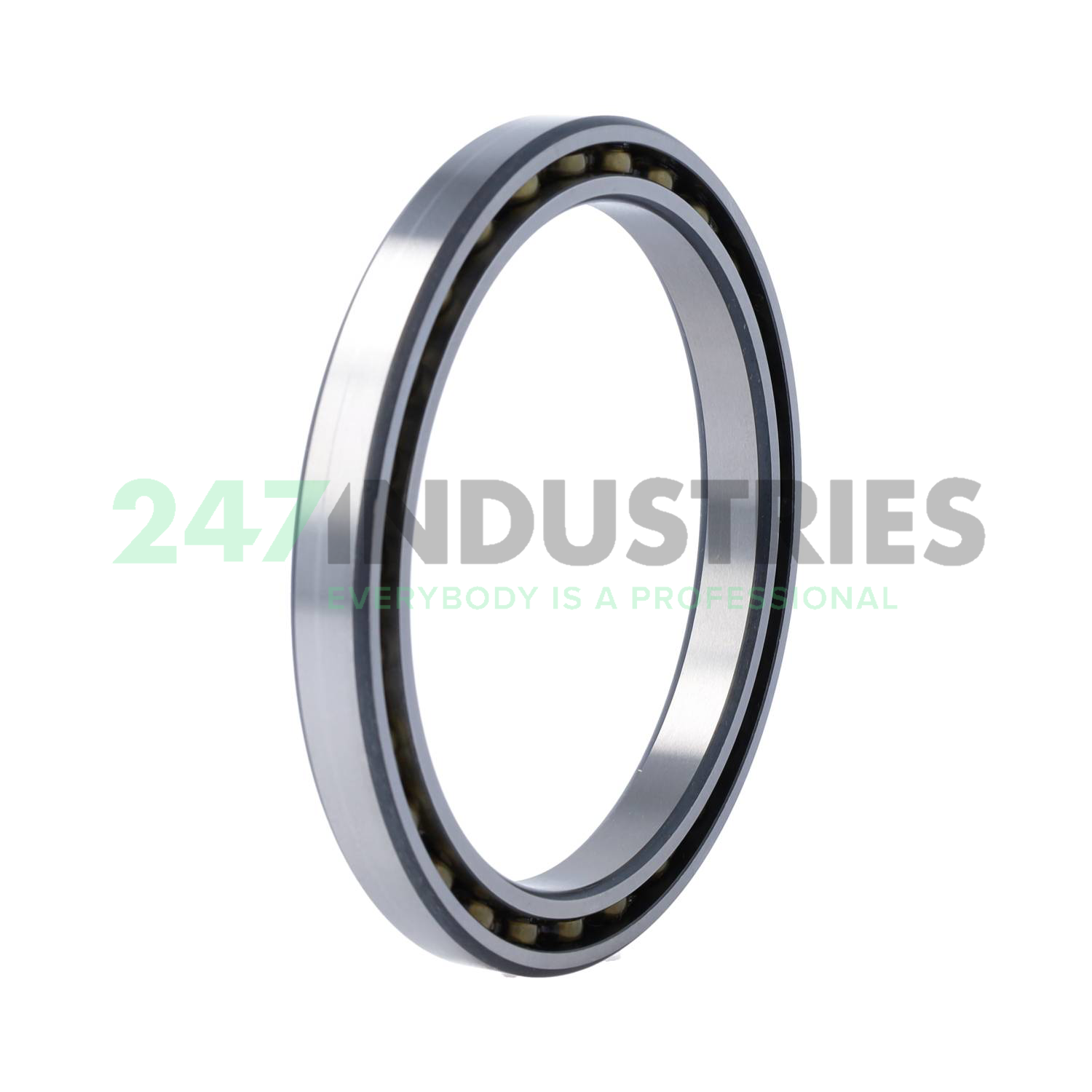 61820-2RS-Y INA Image 2