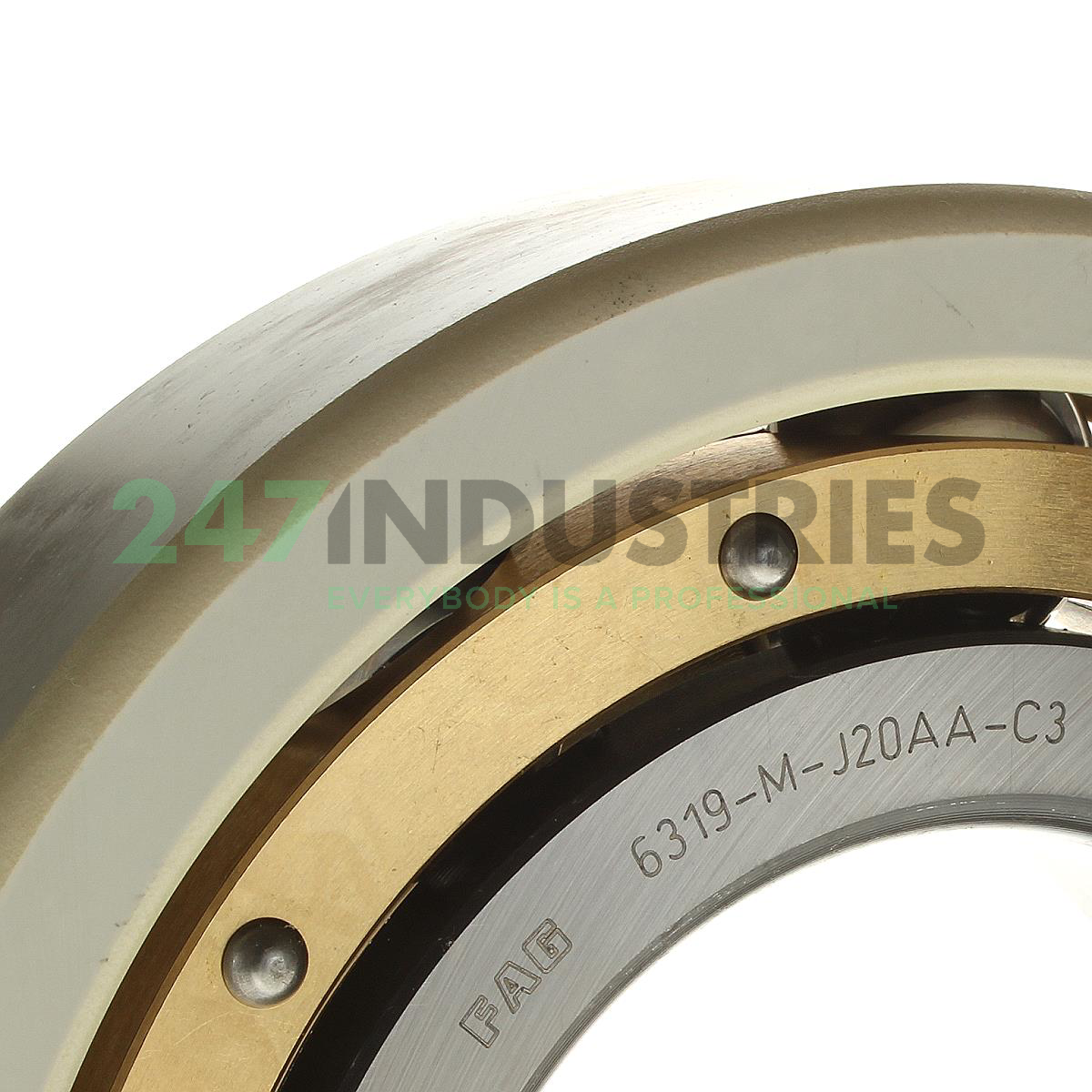 6319-M-J20AA-C3 FAG Image 2