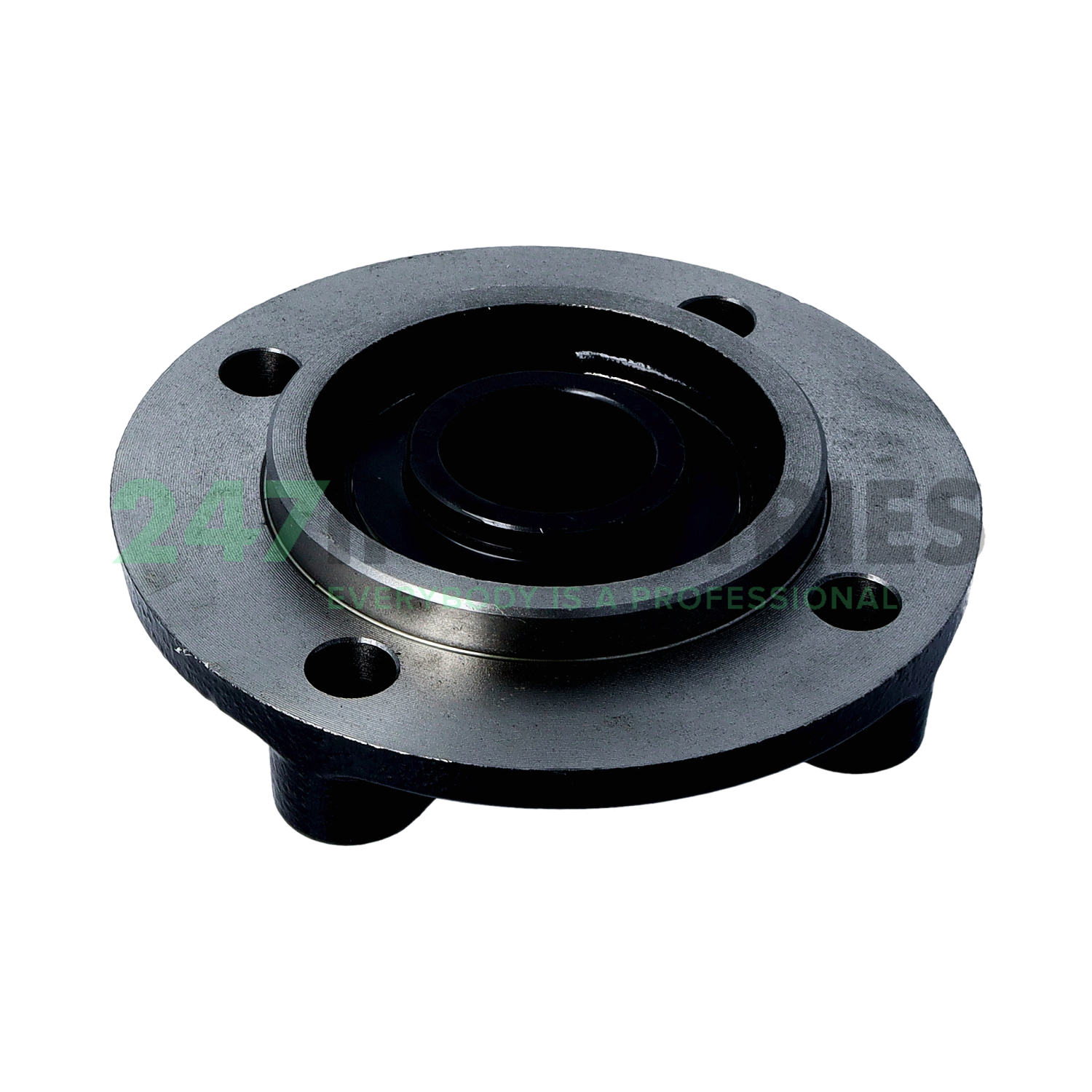 UCFC206-19-J7 FAG Image 2