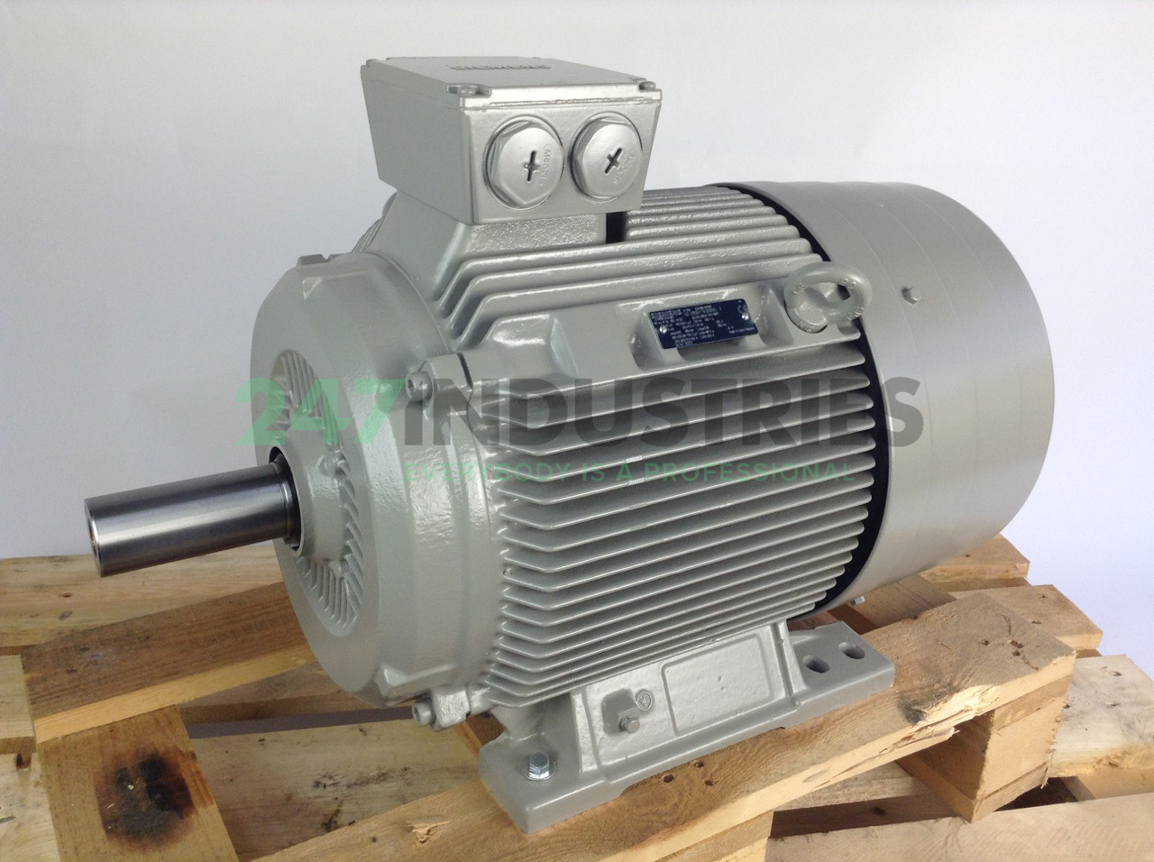 1LG4186-6AA60 Siemens