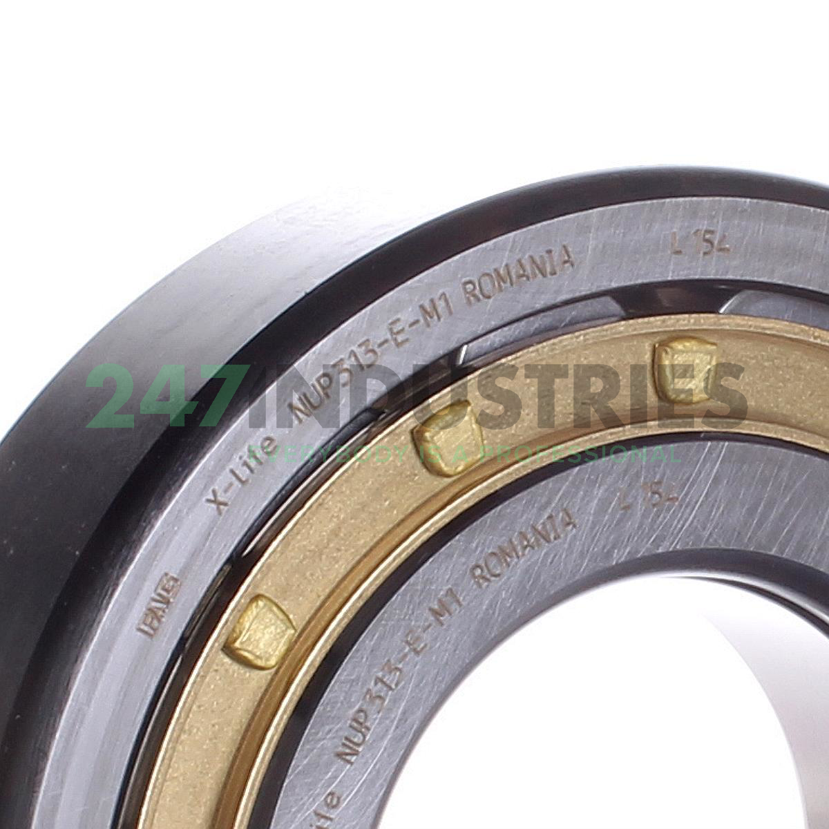 NUP313-E-M1 FAG Image 2