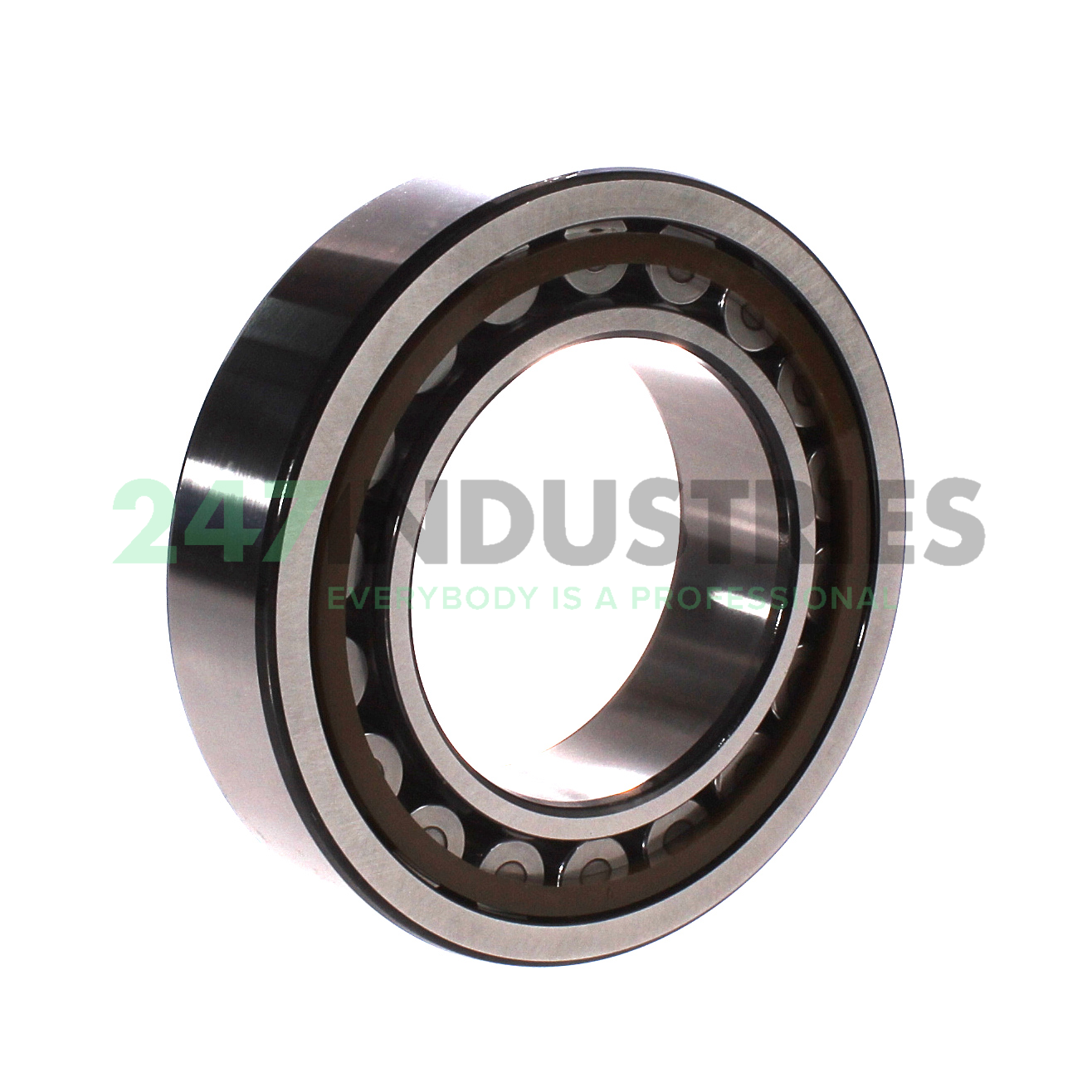 NU313ECJ SKF Image 2