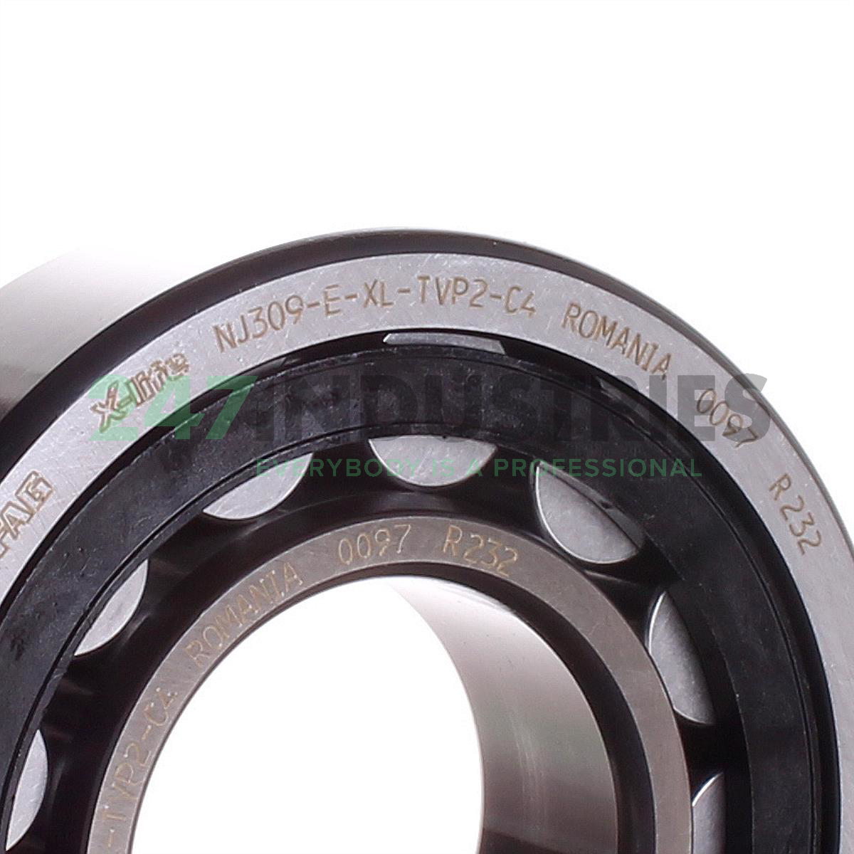 NJ309-E-XL-TVP2-C4 FAG Image 2