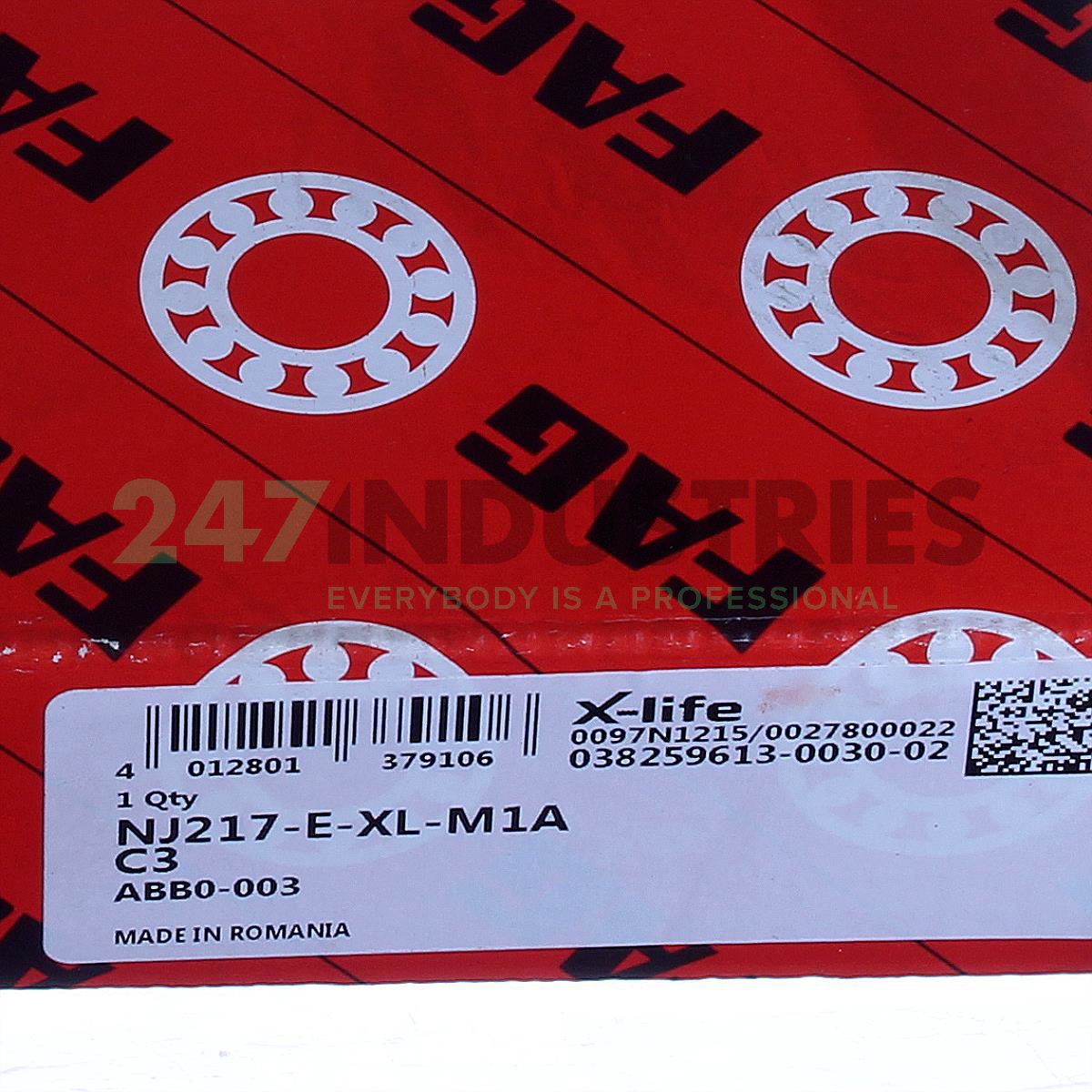 NJ217-E-XL-M1A-C3 FAG Image 5