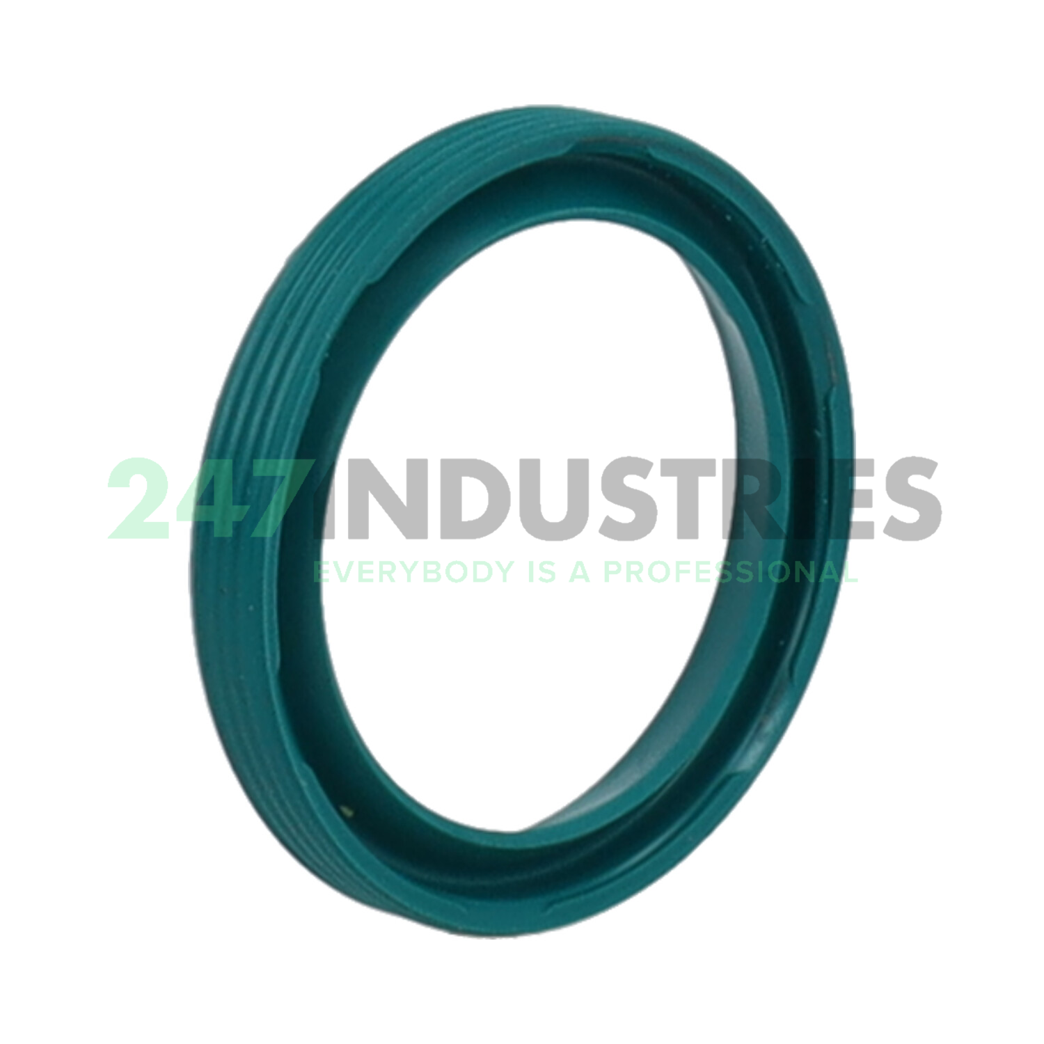 VG22X28X4 NAK Sealing Technologies Image 2