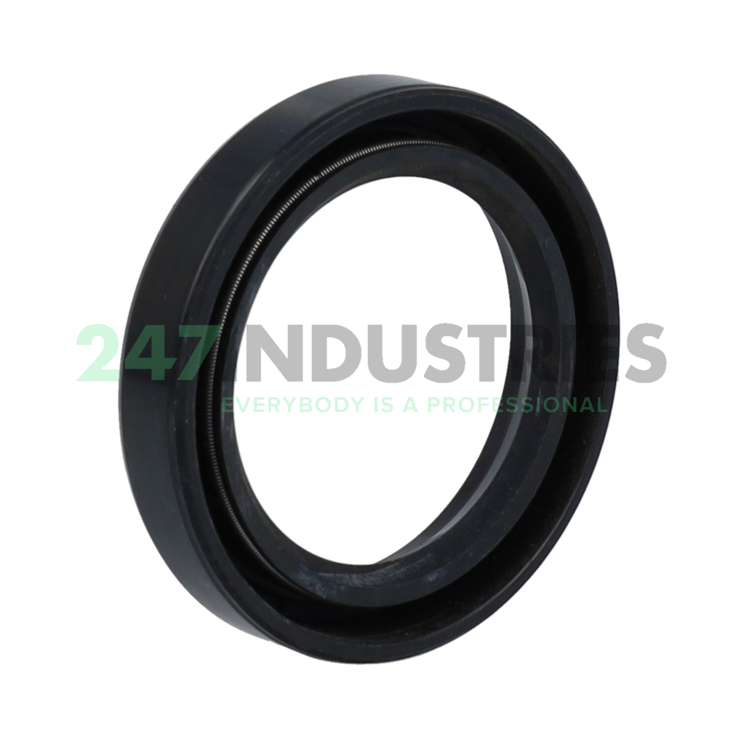 SC38X54X10 NAK Sealing Technologies Image 2