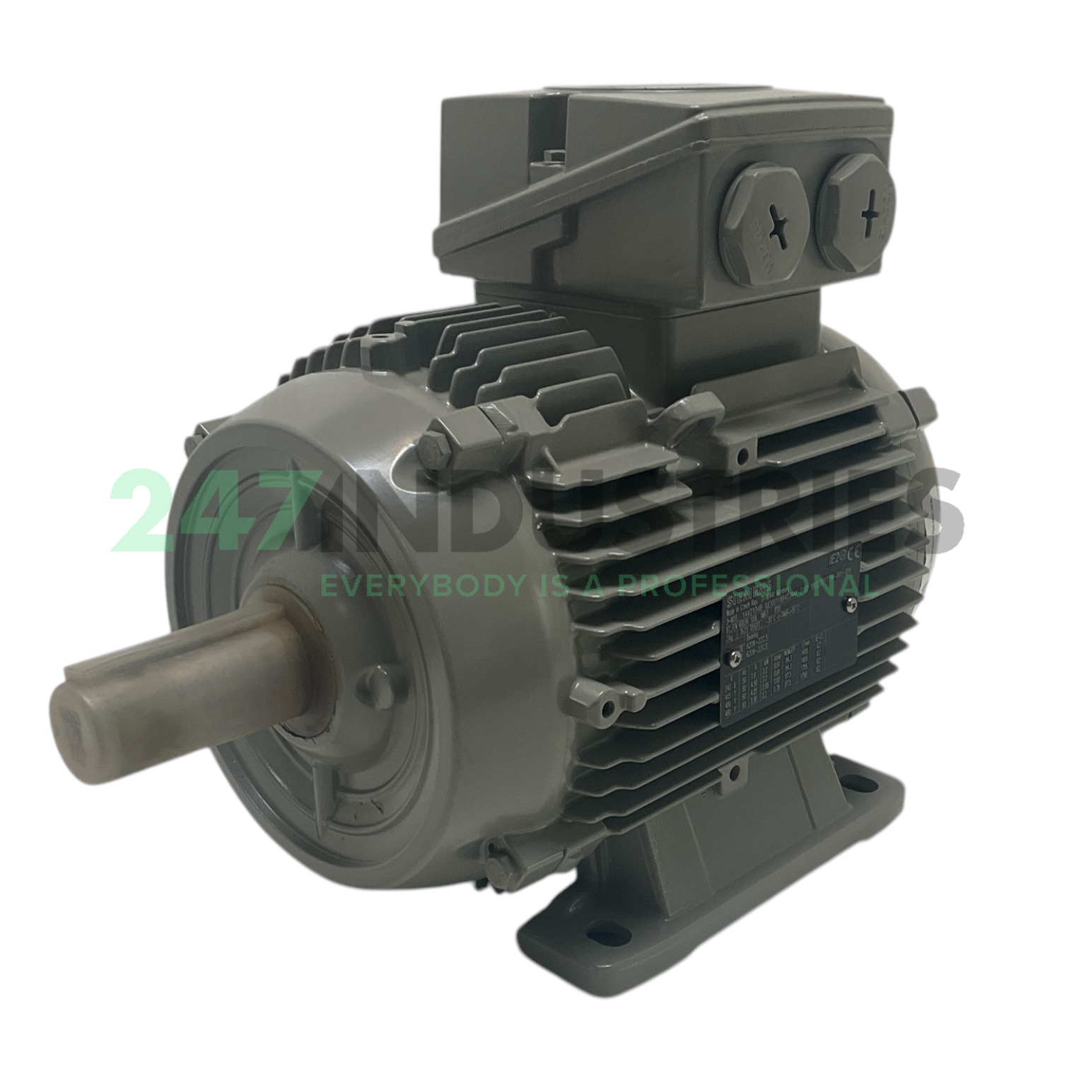 1LE1001-1AB42-3AA4-Z Siemens