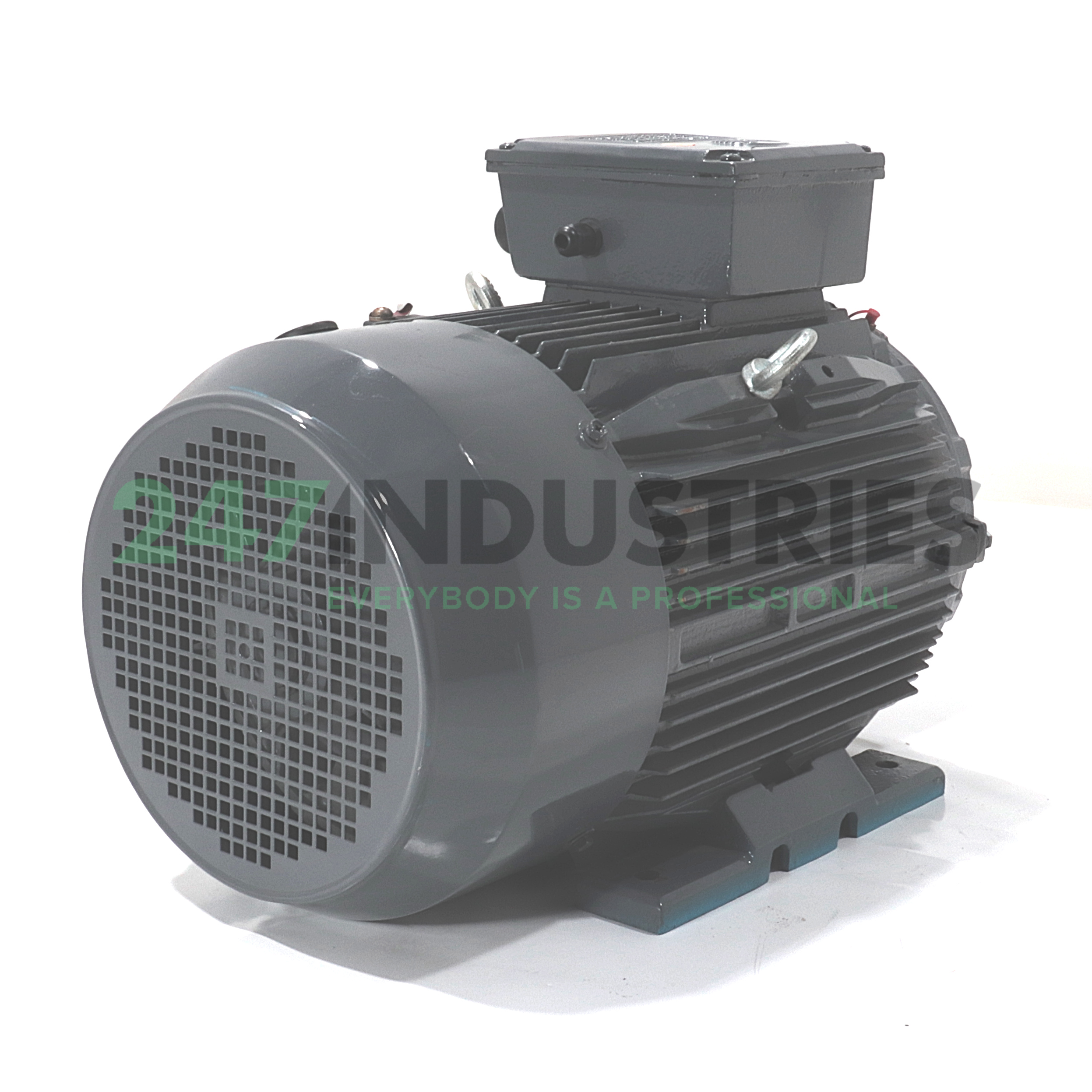 T2C160L-4-B3 TechTop Motor Image 3